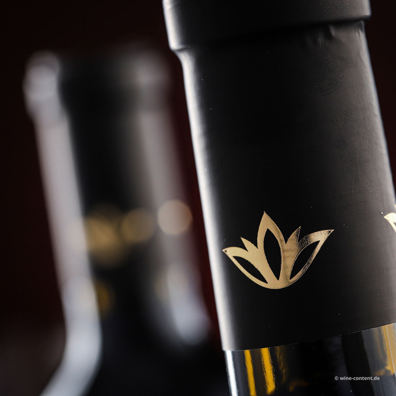 Cabernet Sauvignon Salento 2023