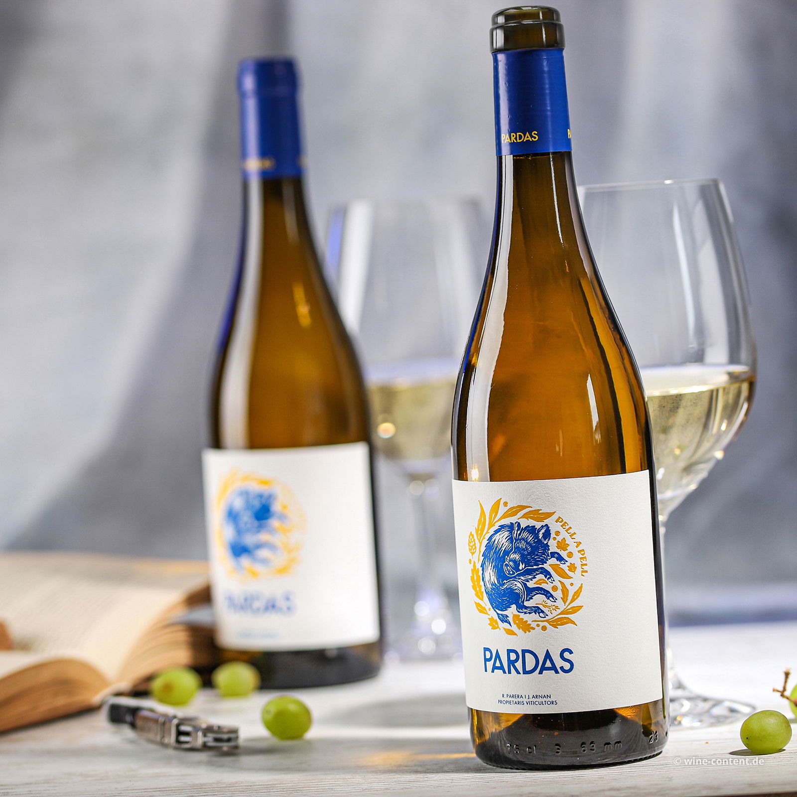 Pell a Pell 2022 Bio