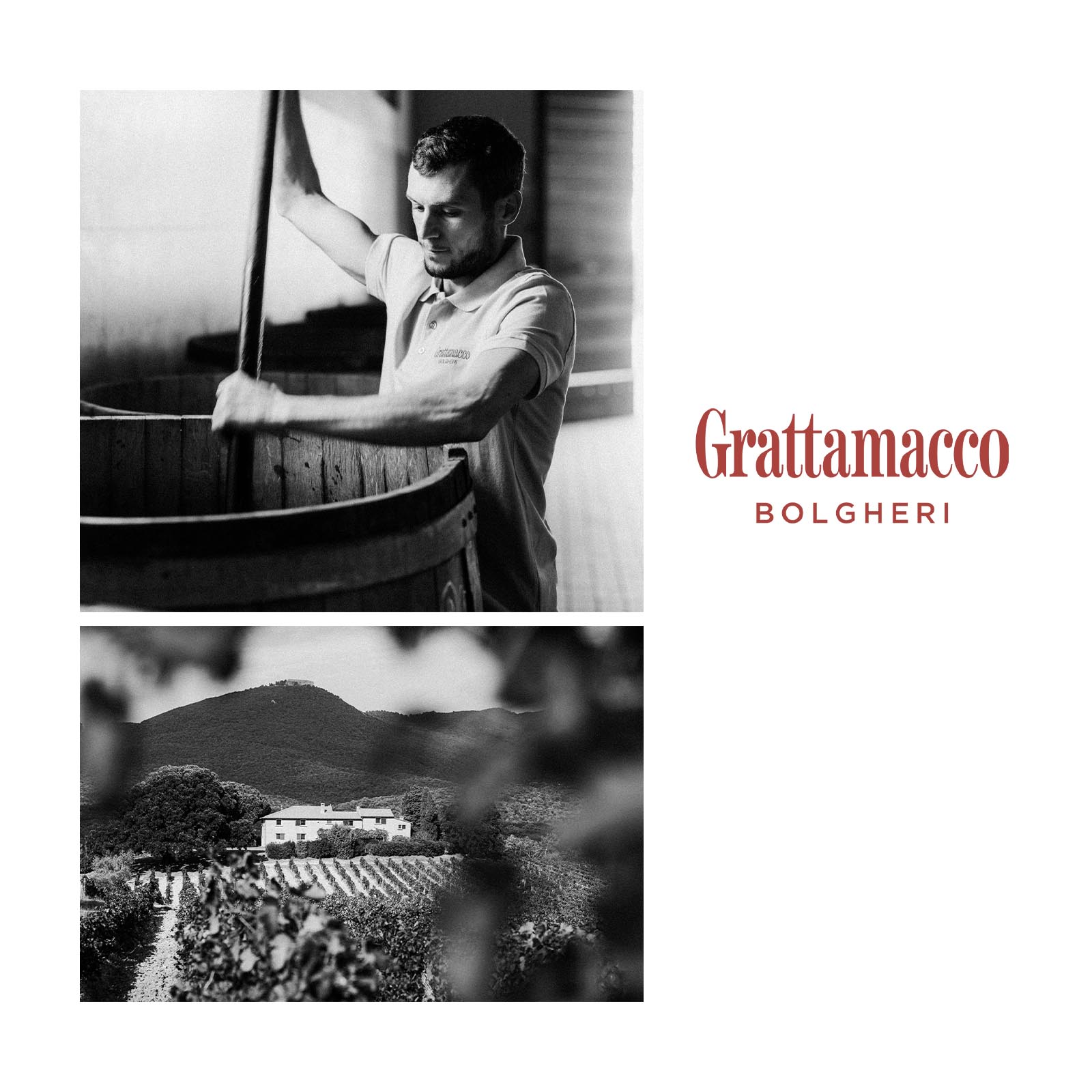 Bolgheri Rosso Superiore 2021 Bio