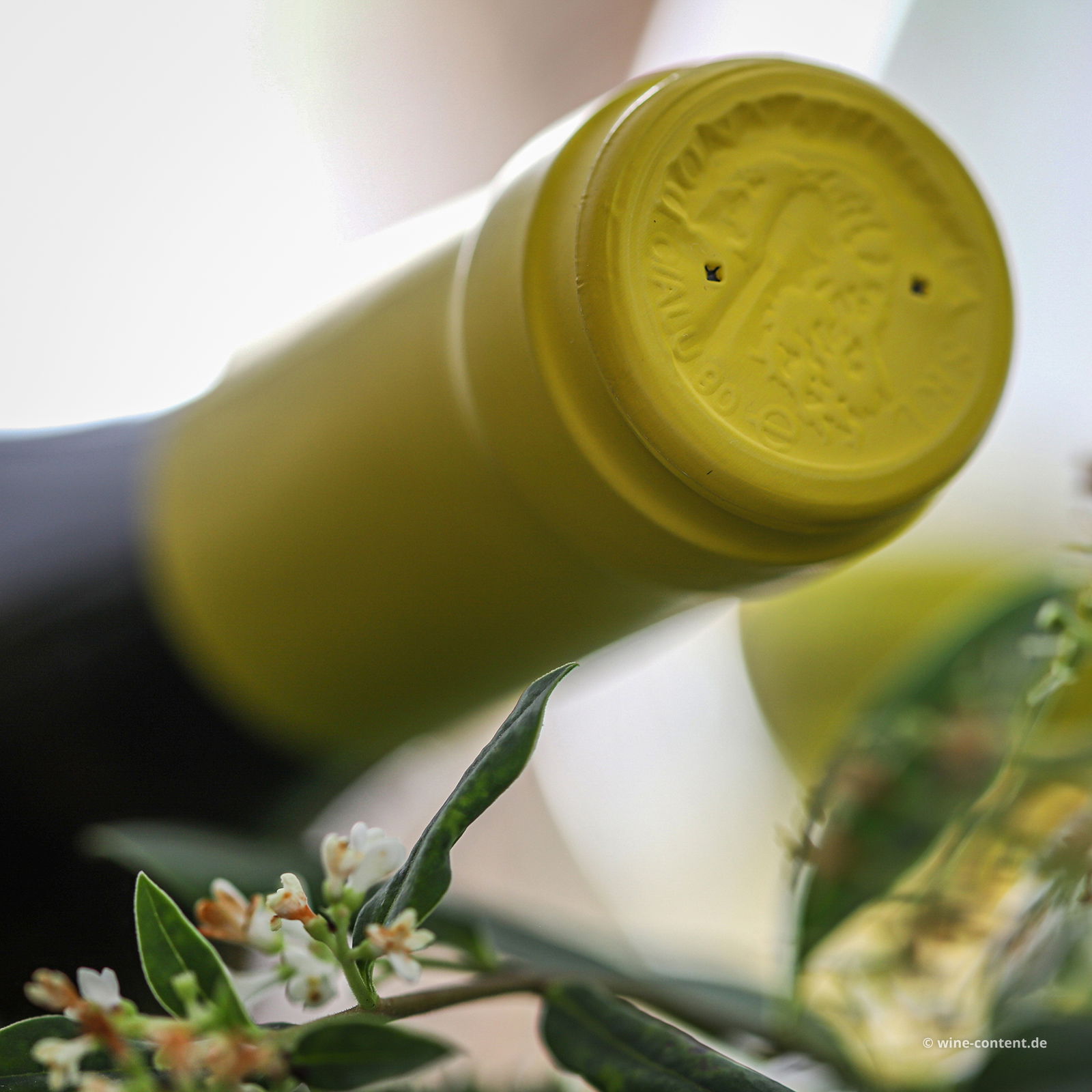 Grillo Sicilia 2024 Passiperduti