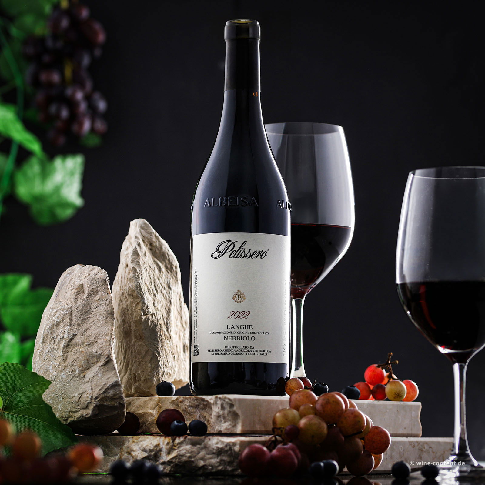 Nebbiolo Langhe 2022