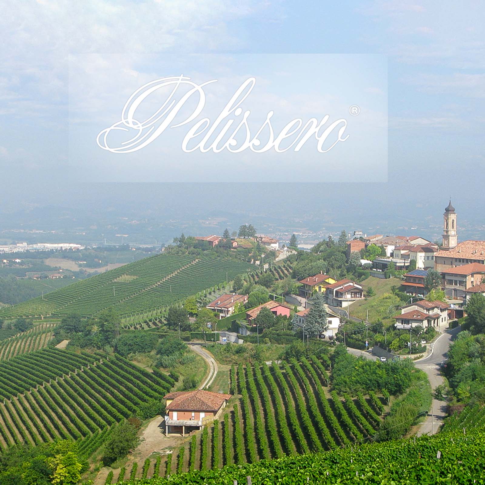 Nebbiolo Langhe 2022