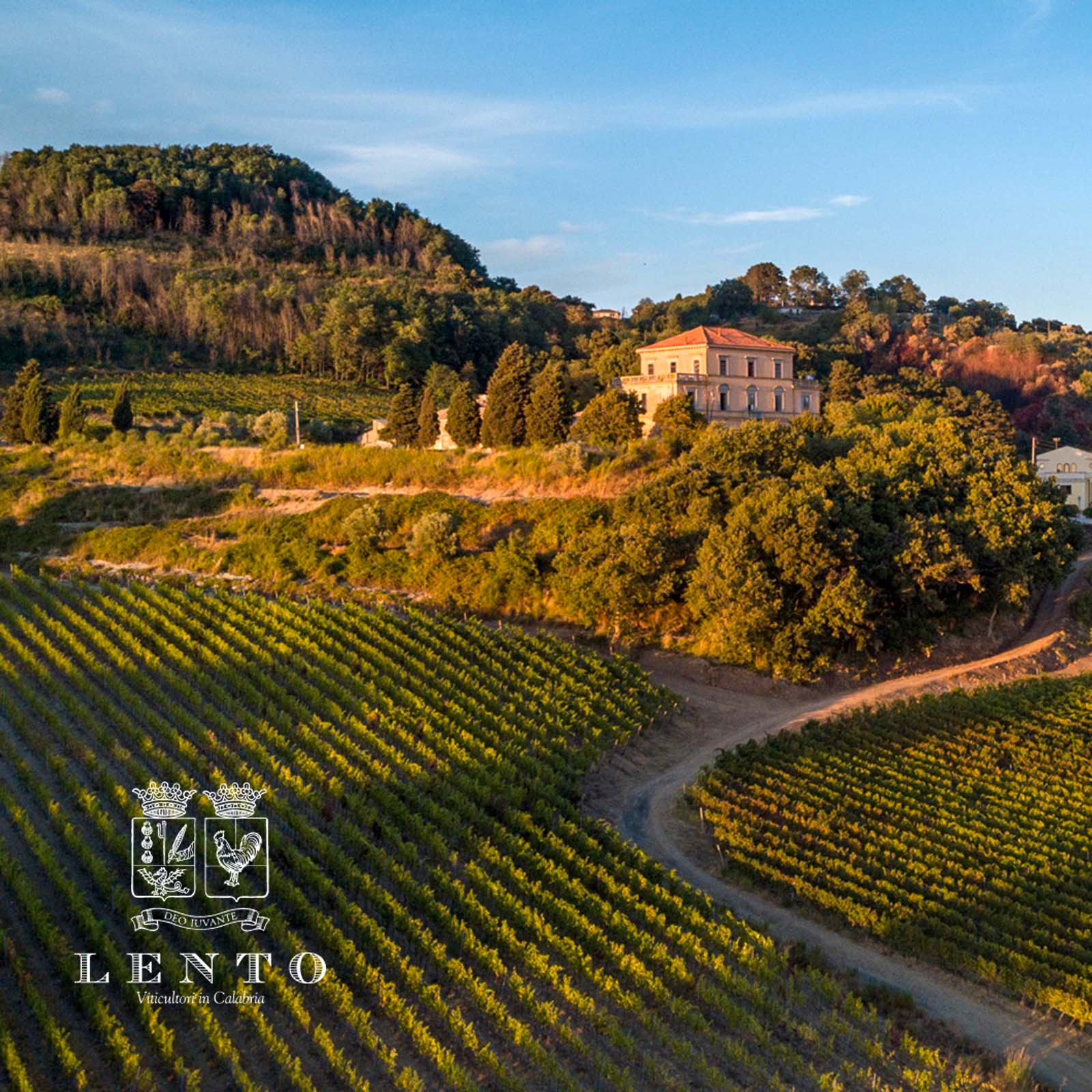 Calabria Rosso 2020 Dragone Selezione