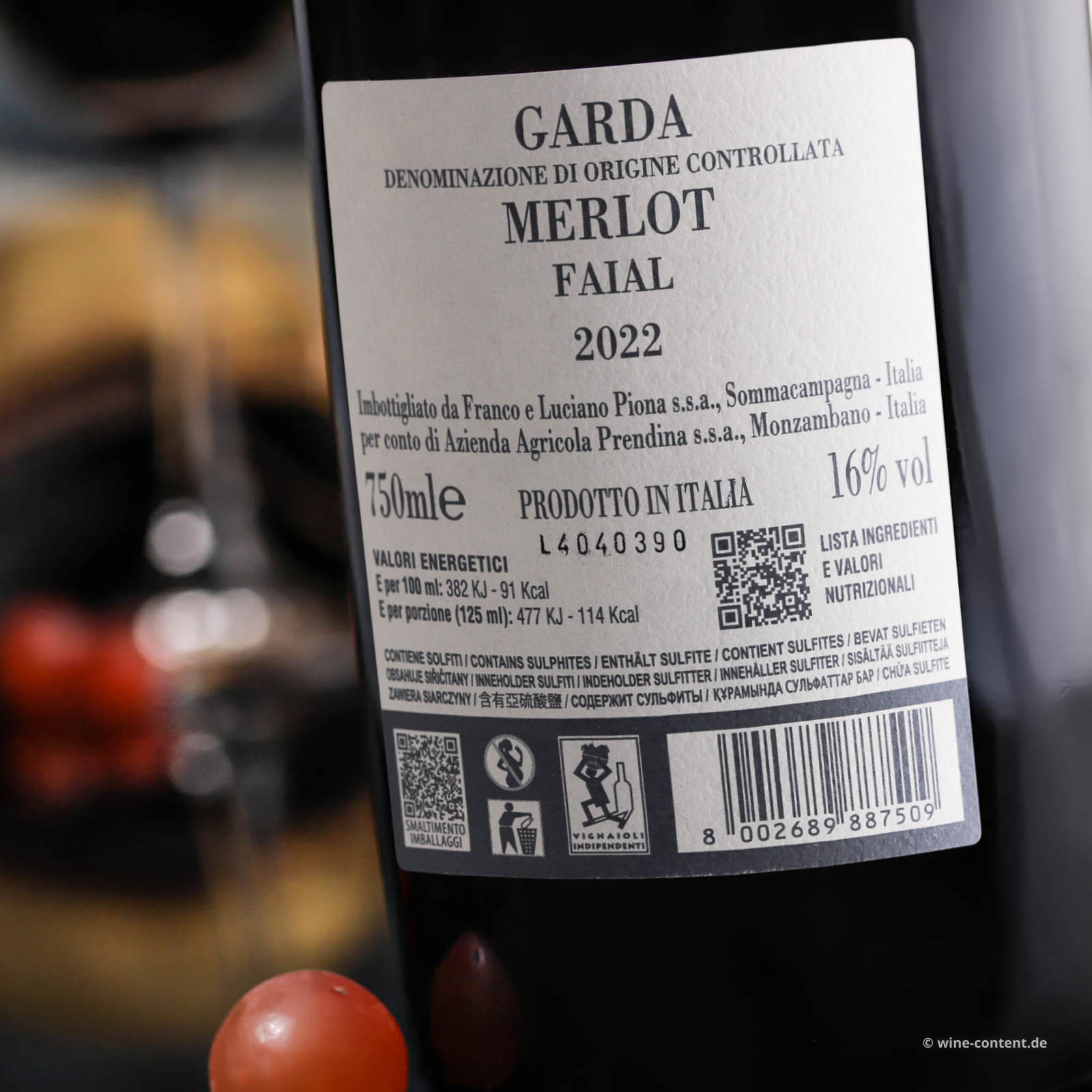 Merlot 2022 Faial