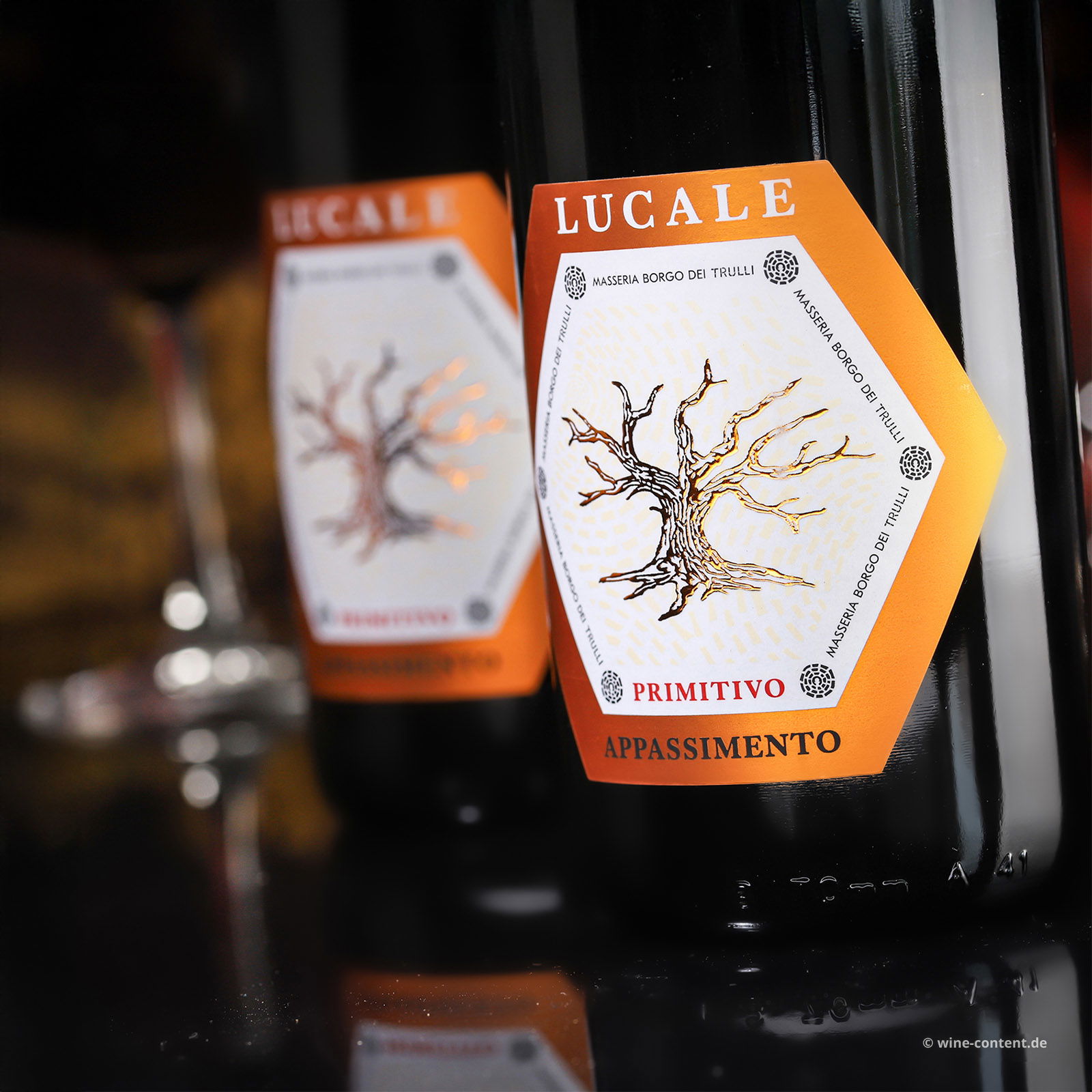 Primitivo Appassimento 2023 Lucale