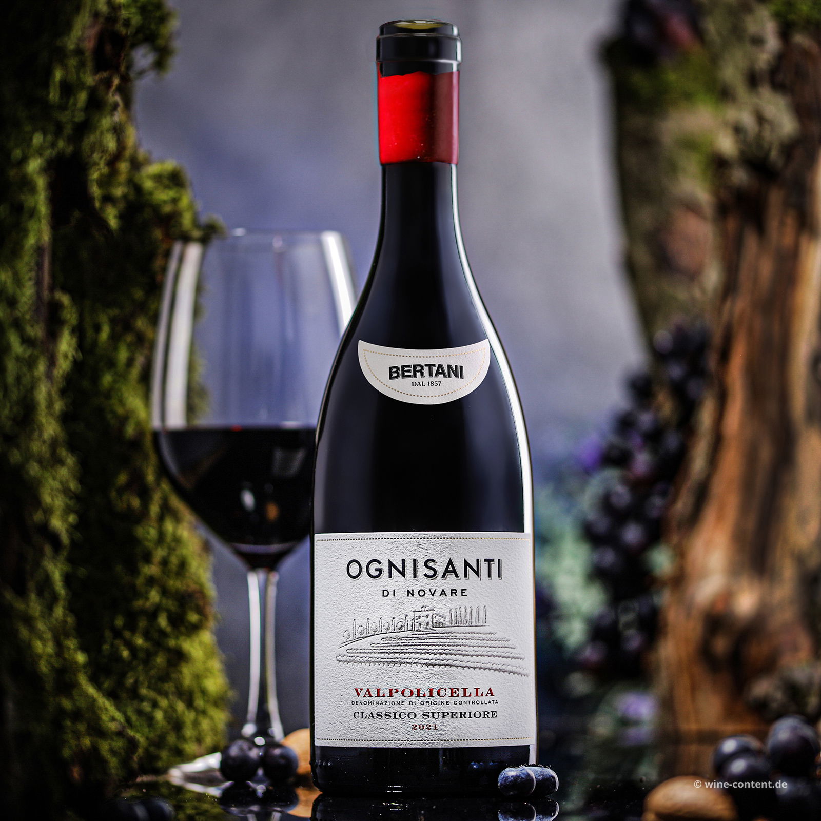 Valpolicella Classico Superiore 2021 Cru Ognisanti