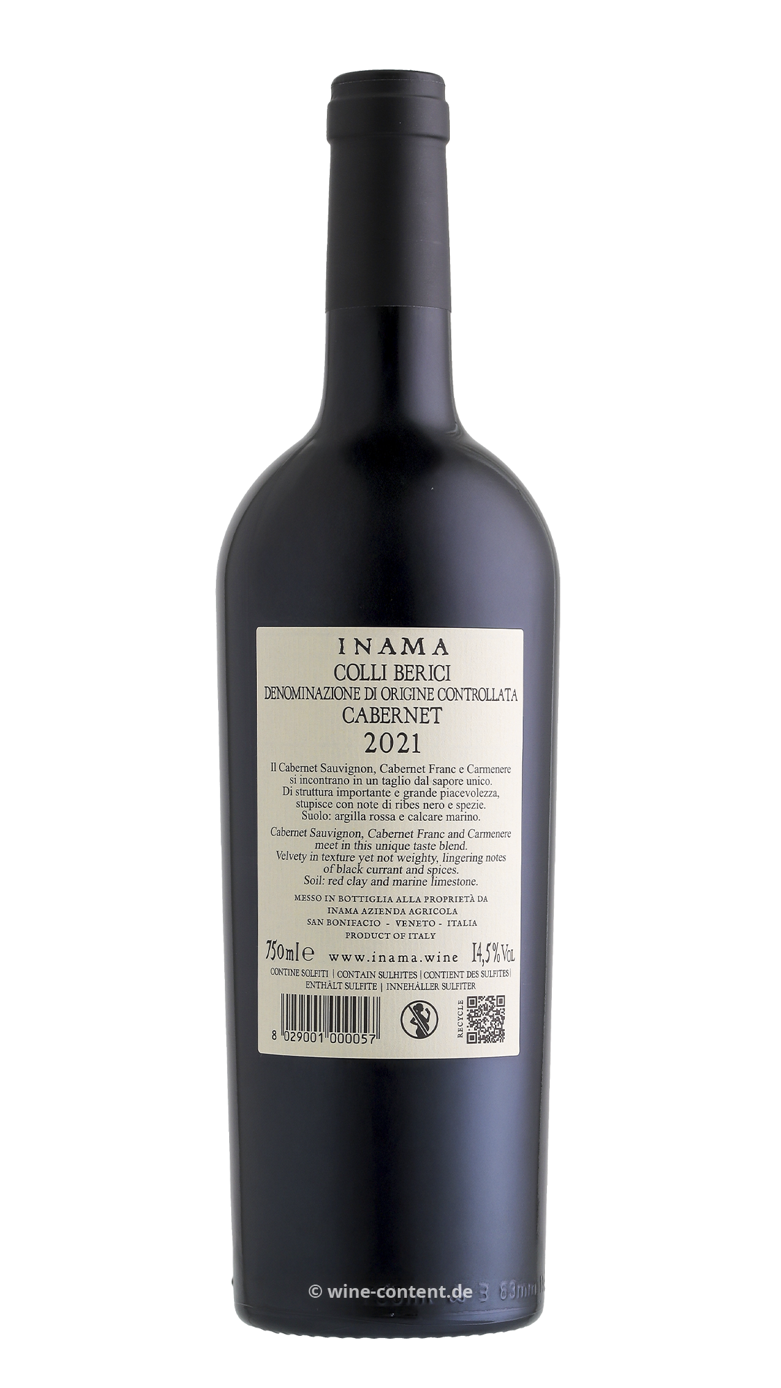 Cabernet 2021 Bradisismo