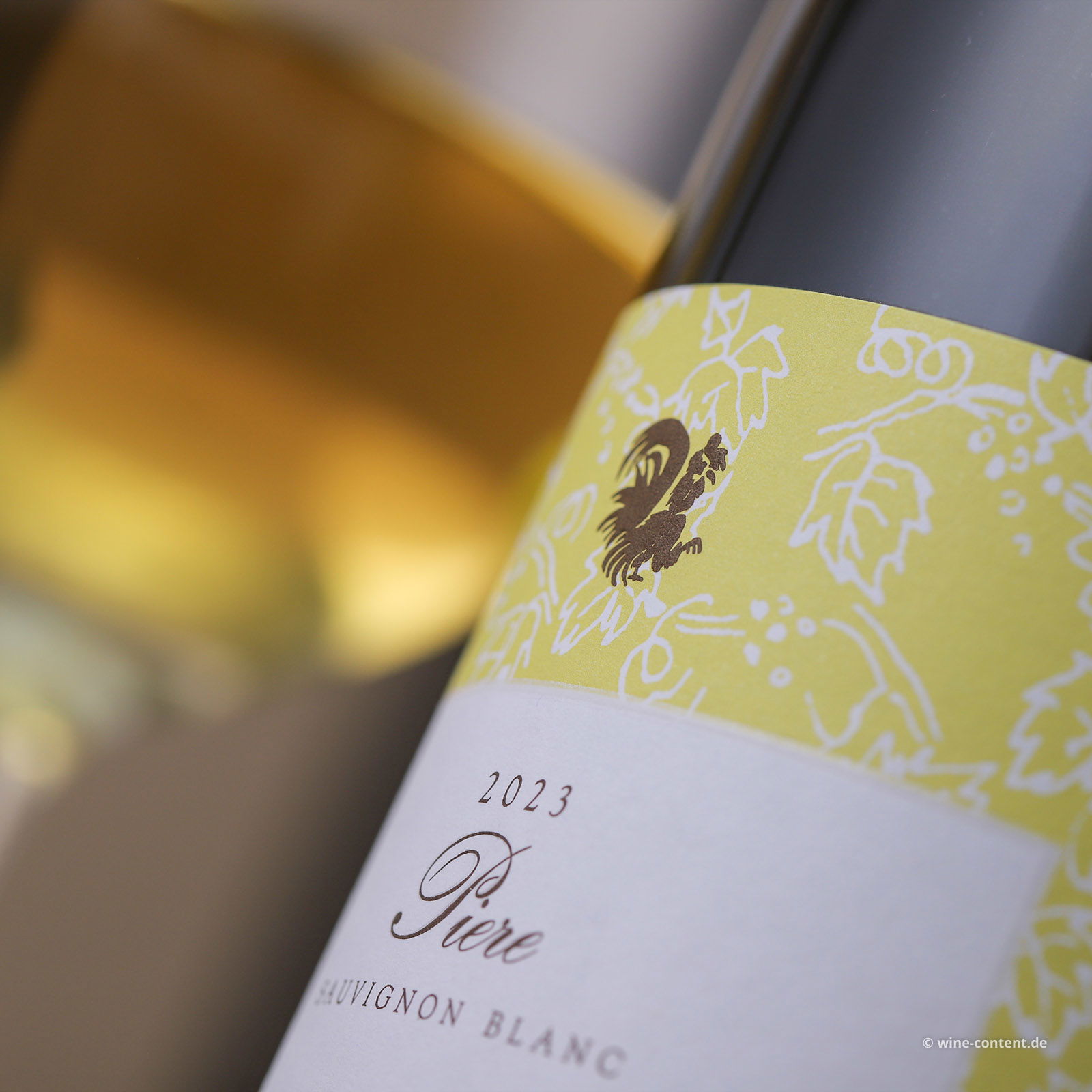 Sauvignon Blanc 2023 Piere