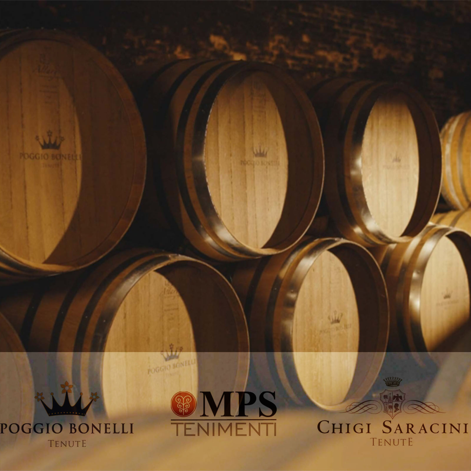 0,5 L Olivenöl Extra Vergine Toscano 2025 Bio