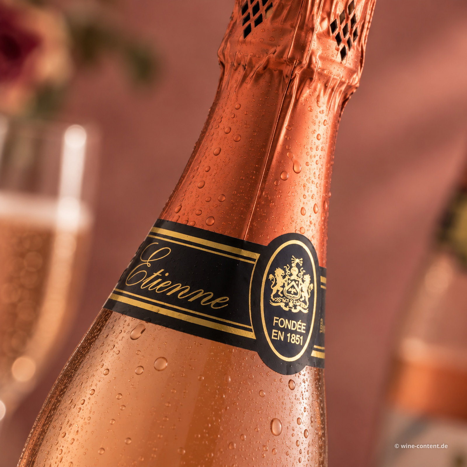 Crémant de Loire Rosé Etienne Brut