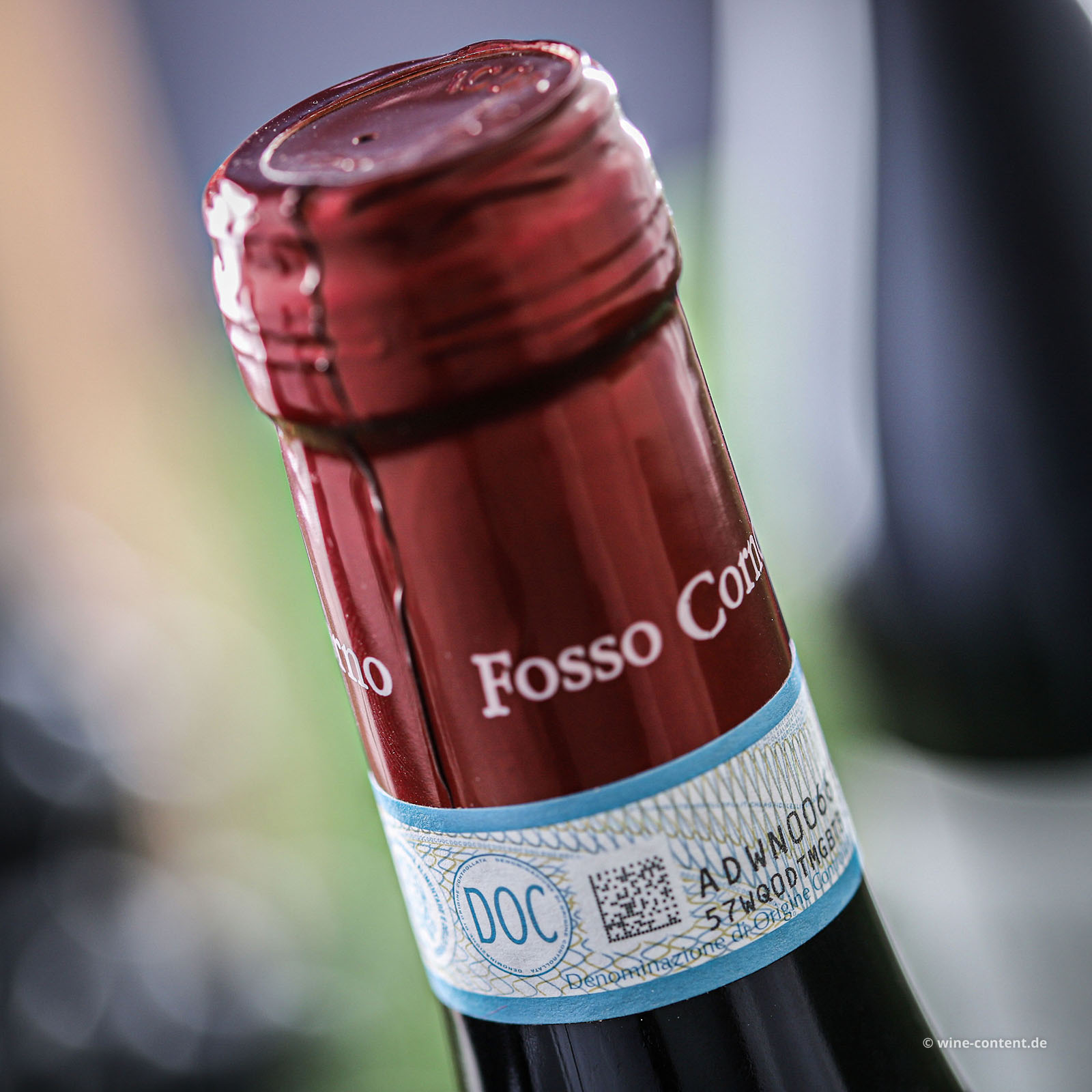 Montepulciano d´Abruzzo 2023 Orsettino