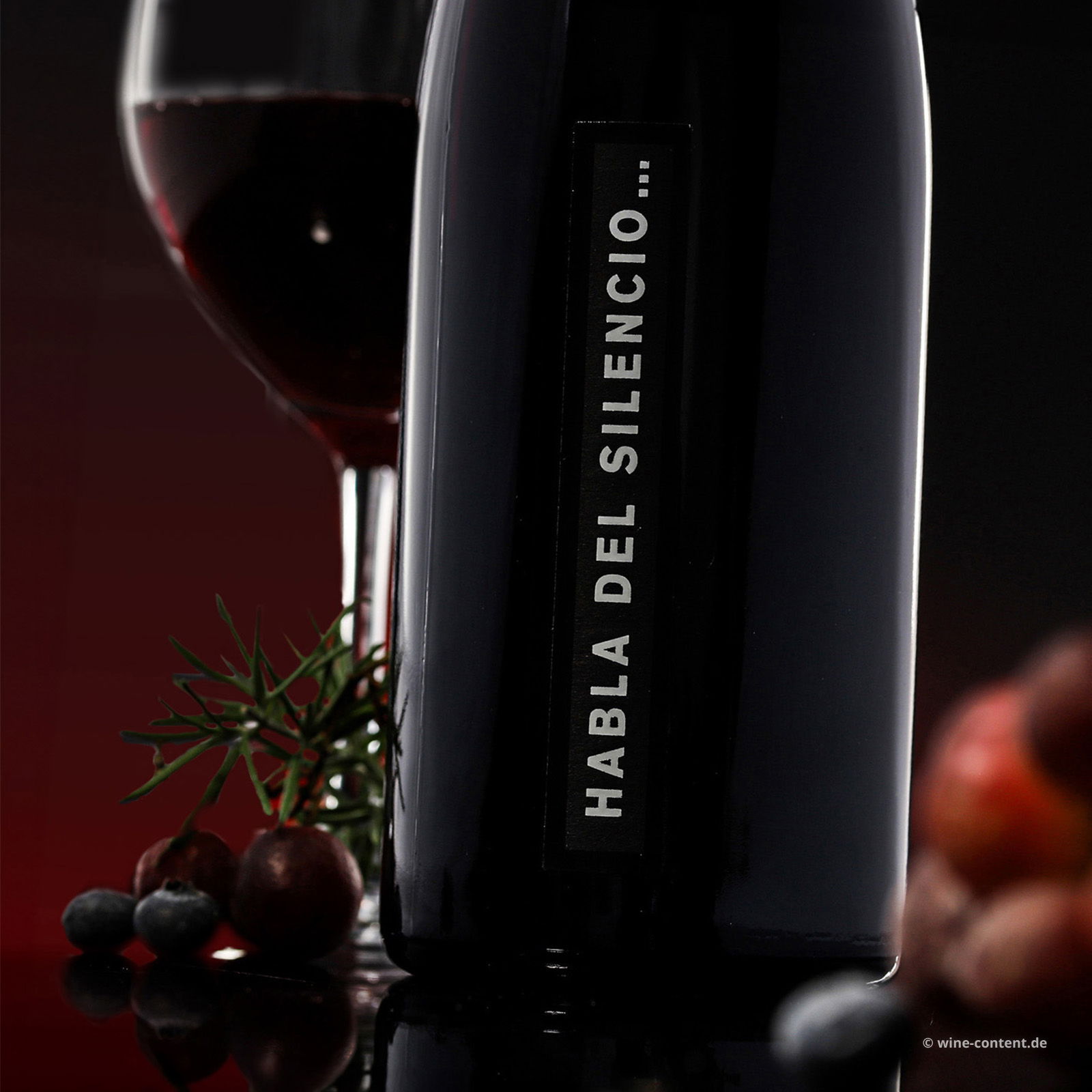 Habla del Silencio 2023