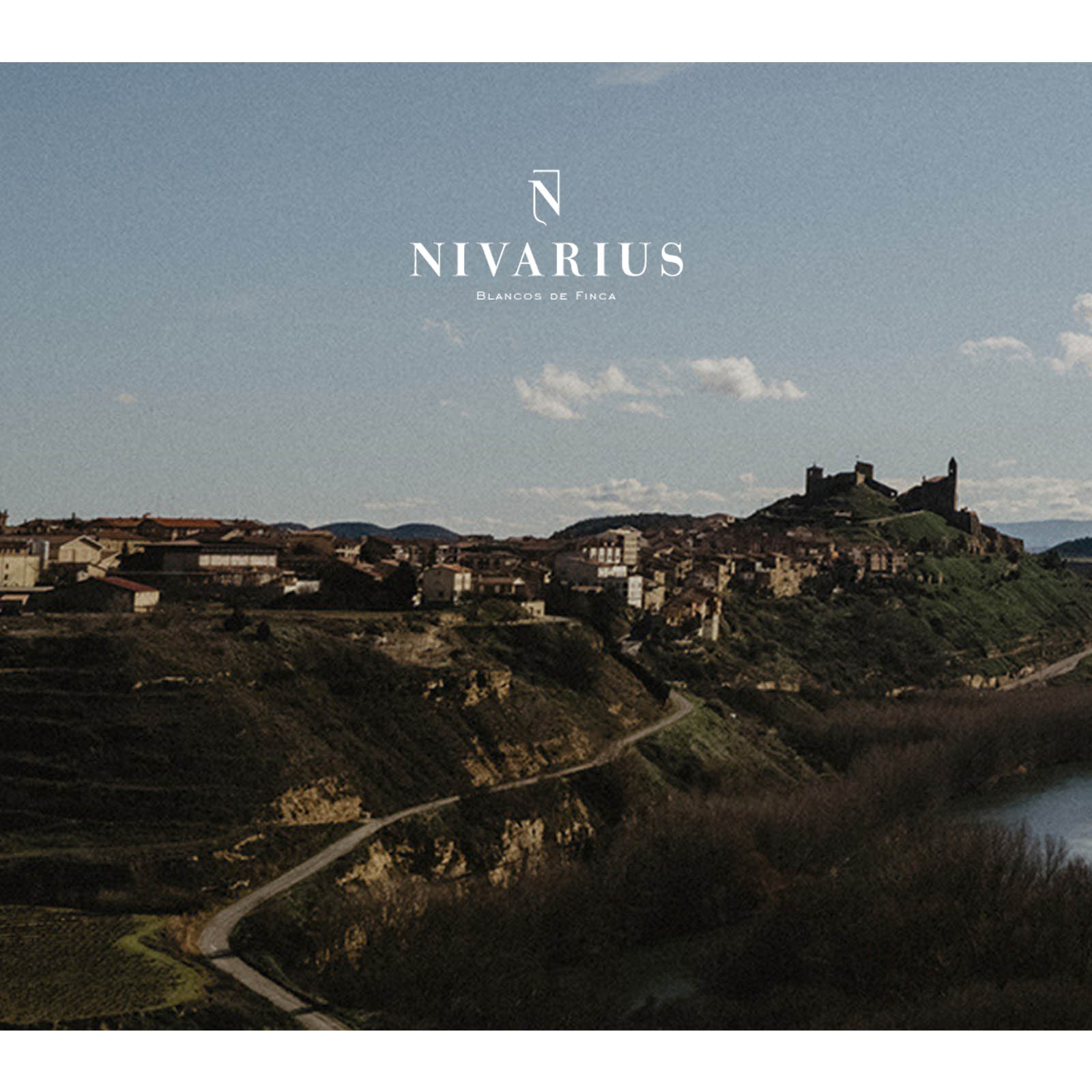 Rioja Blanco 2017 Finca La Nevera