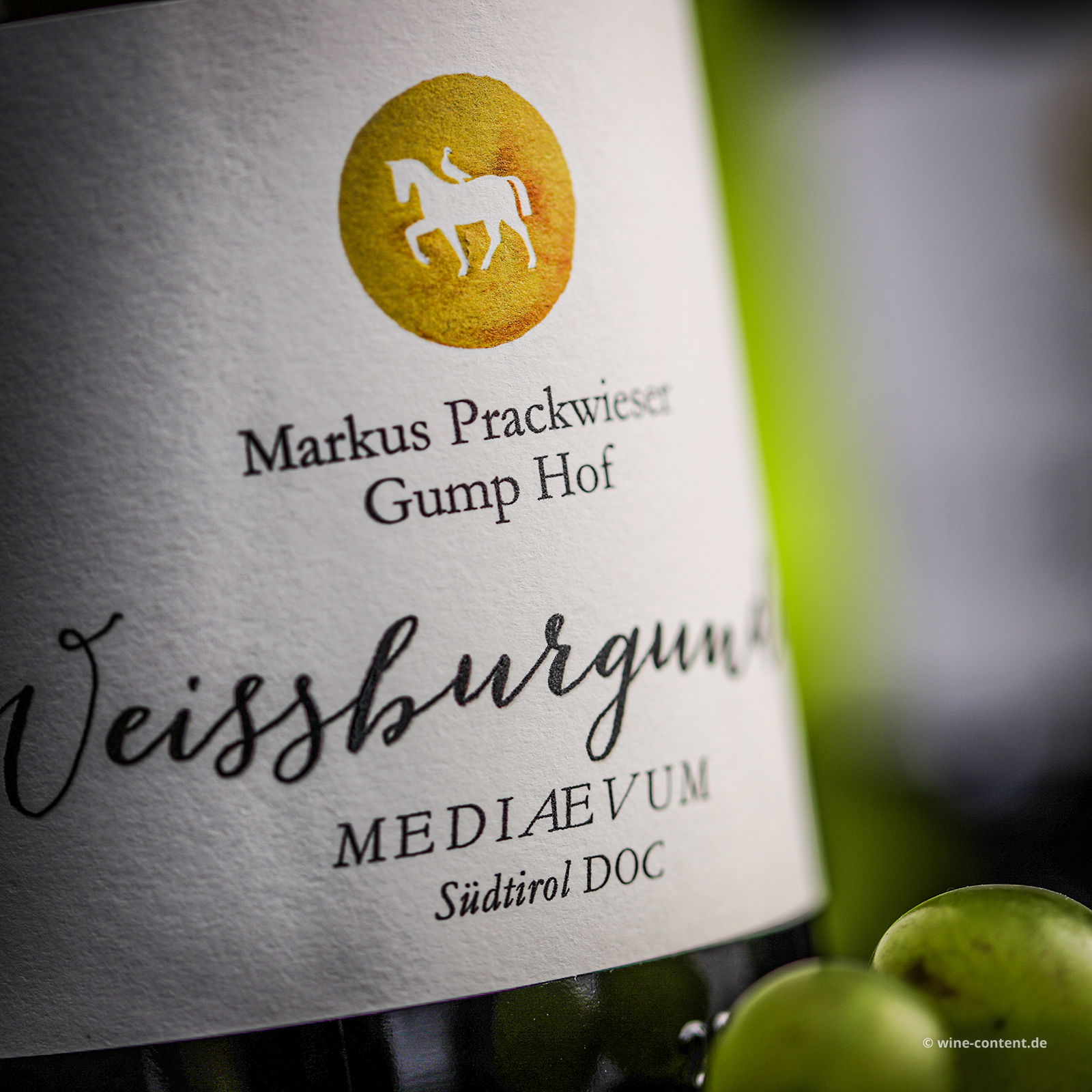 Weißburgunder 2024 Mediaevum