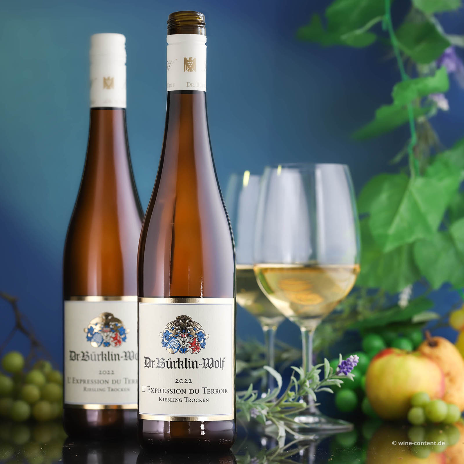 Riesling 2022 L'Expression du Terroir Bio