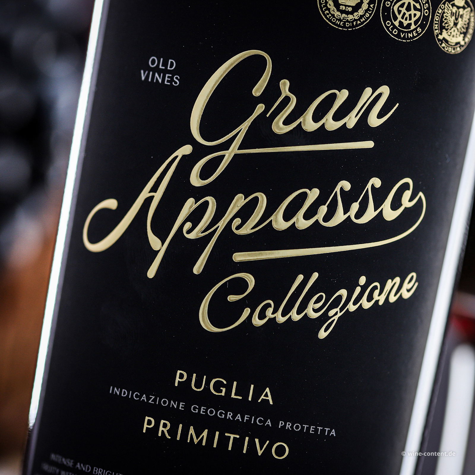 Primitivo 2023 Gran Appasso Collezione