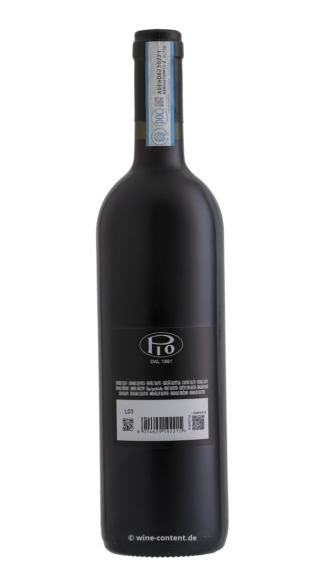 Nebbiolo Langhe 2022