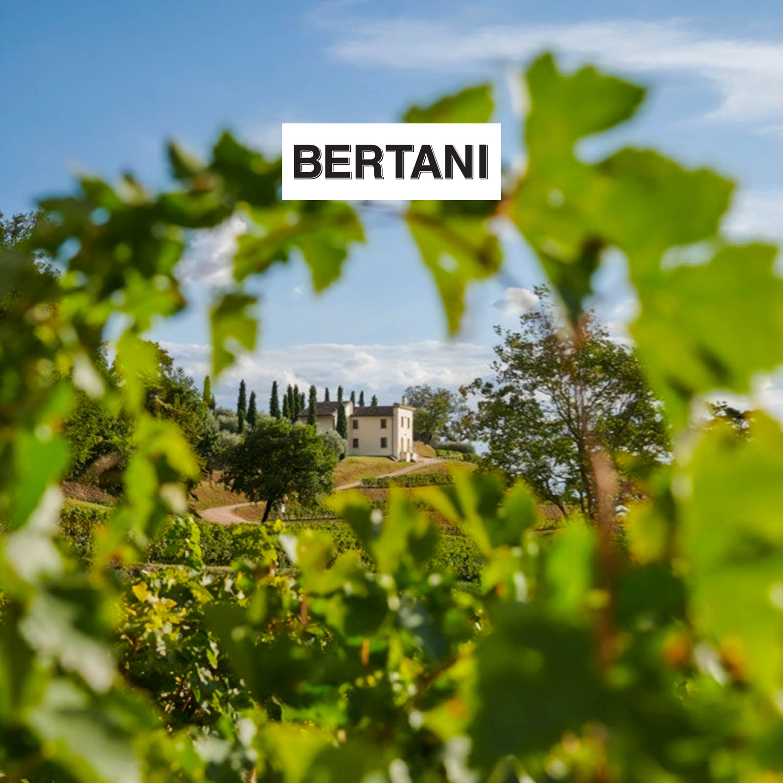 Amarone Valpantena 2022 Magnum