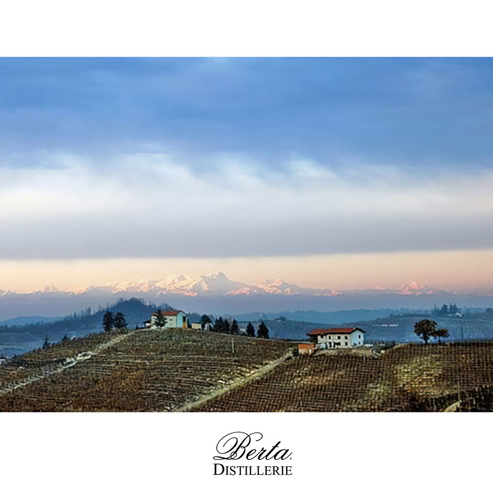 Acquavite d'Uva Magia 2014 in Holzkassette