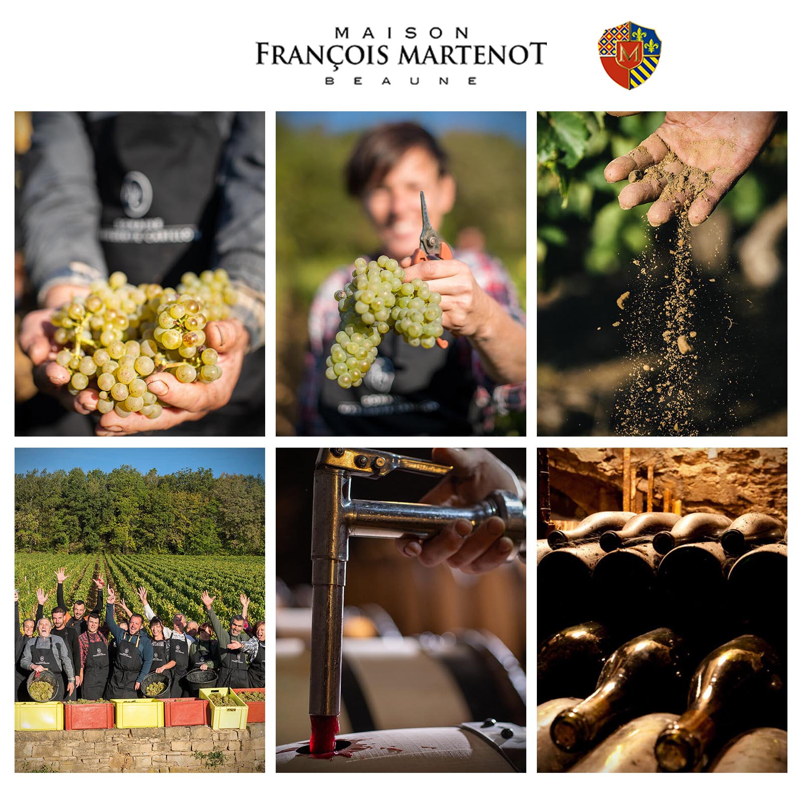 Crémant de Bourgogne Rosé Pinot Noir 2022 Brut