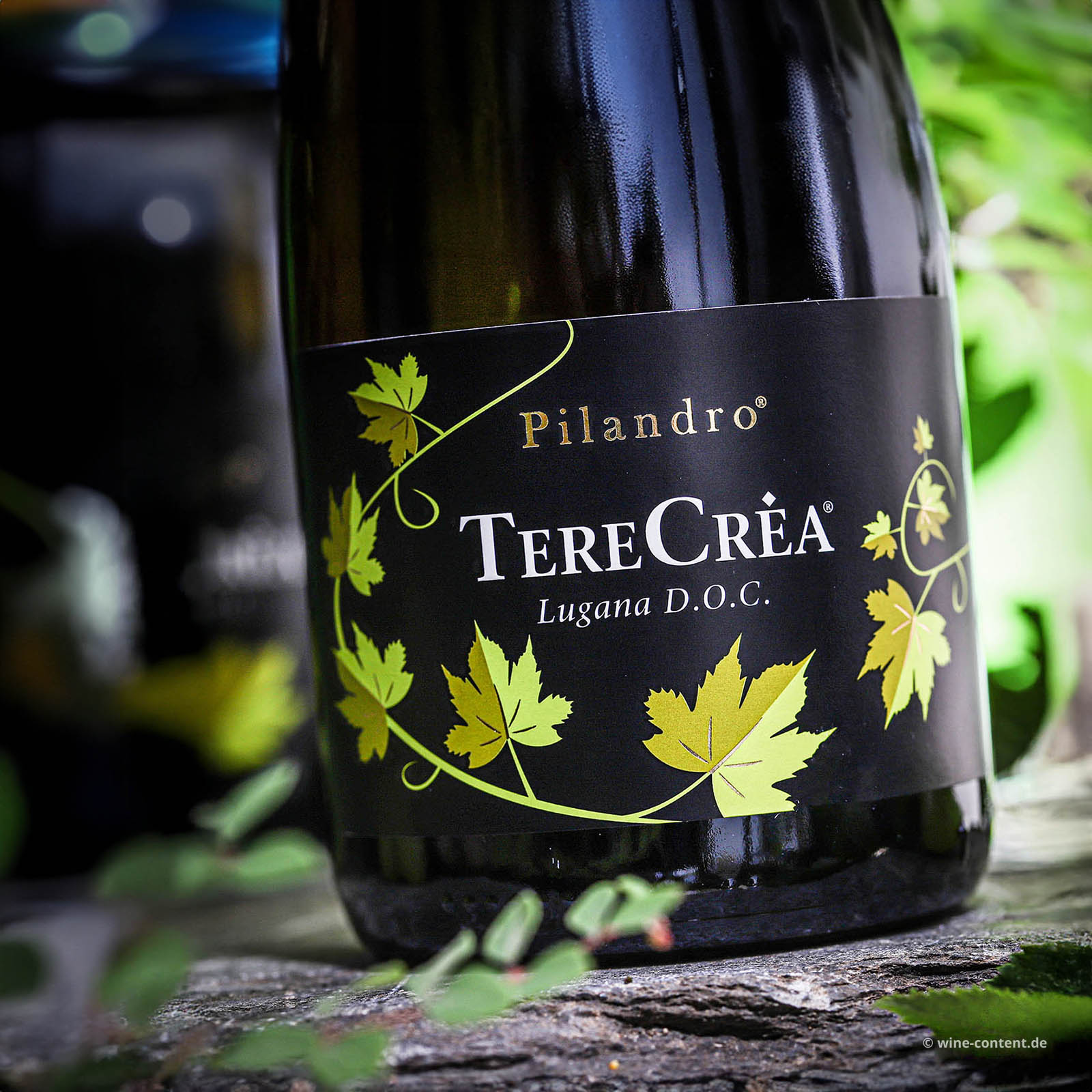 Lugana 2025 TereCrèa