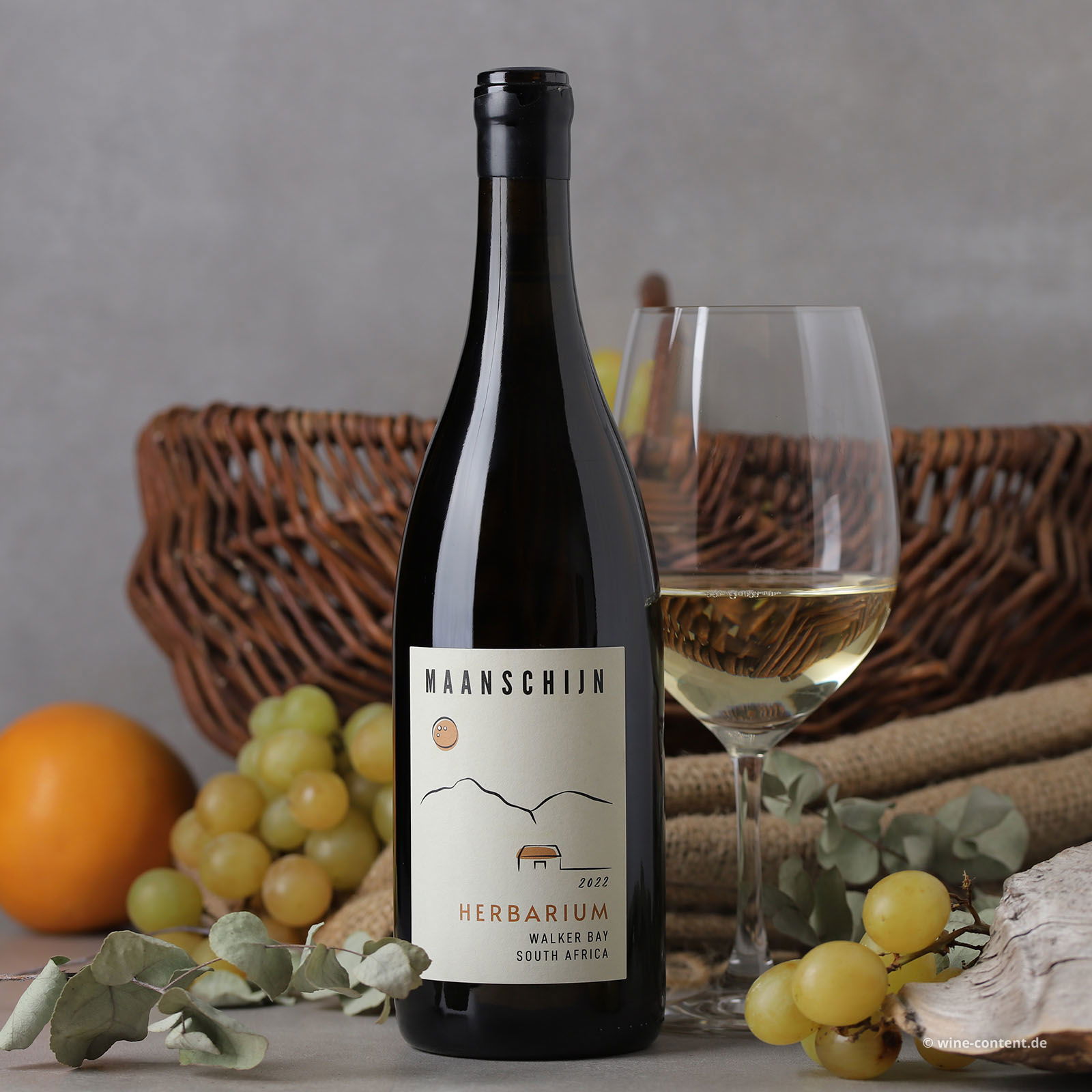 Cape White 2022 Herbarium