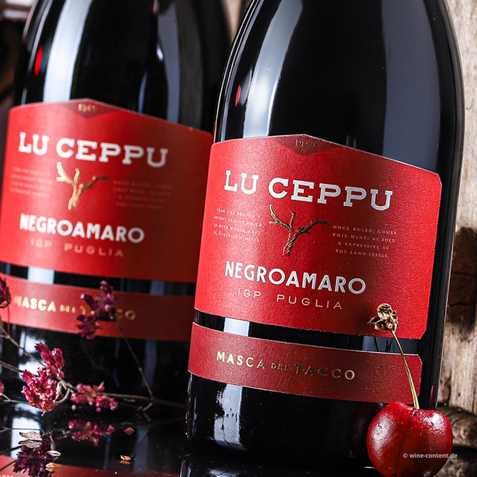 Negroamaro 2023 Lu Ceppu