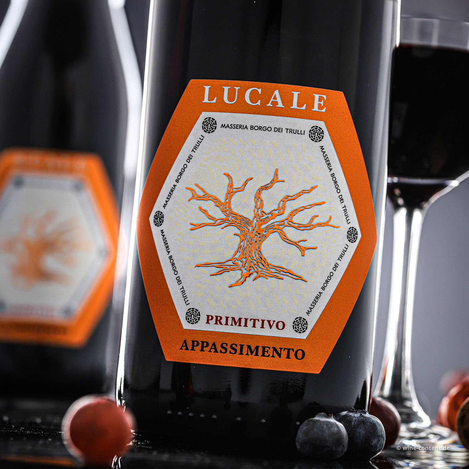 Primitivo Appassimento 2024 Lucale