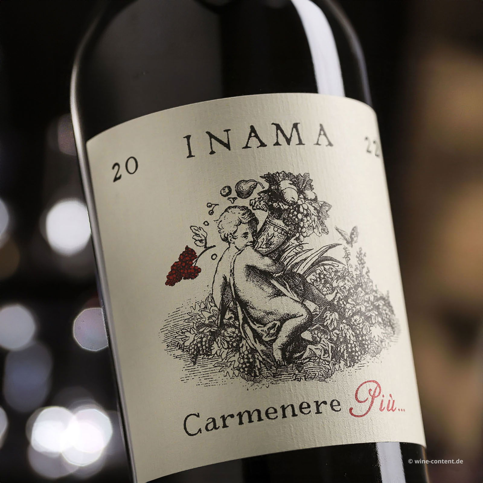 Carmenere Più 2022