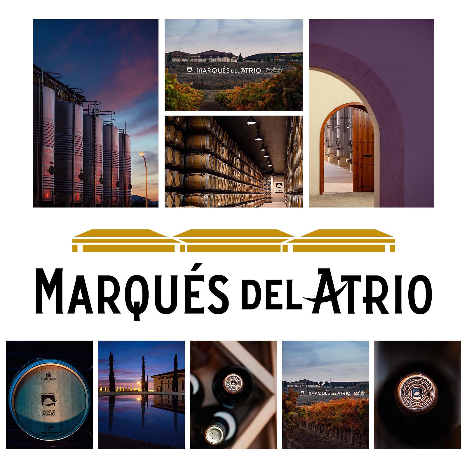 Rioja Blanco 2020 2 Cepas