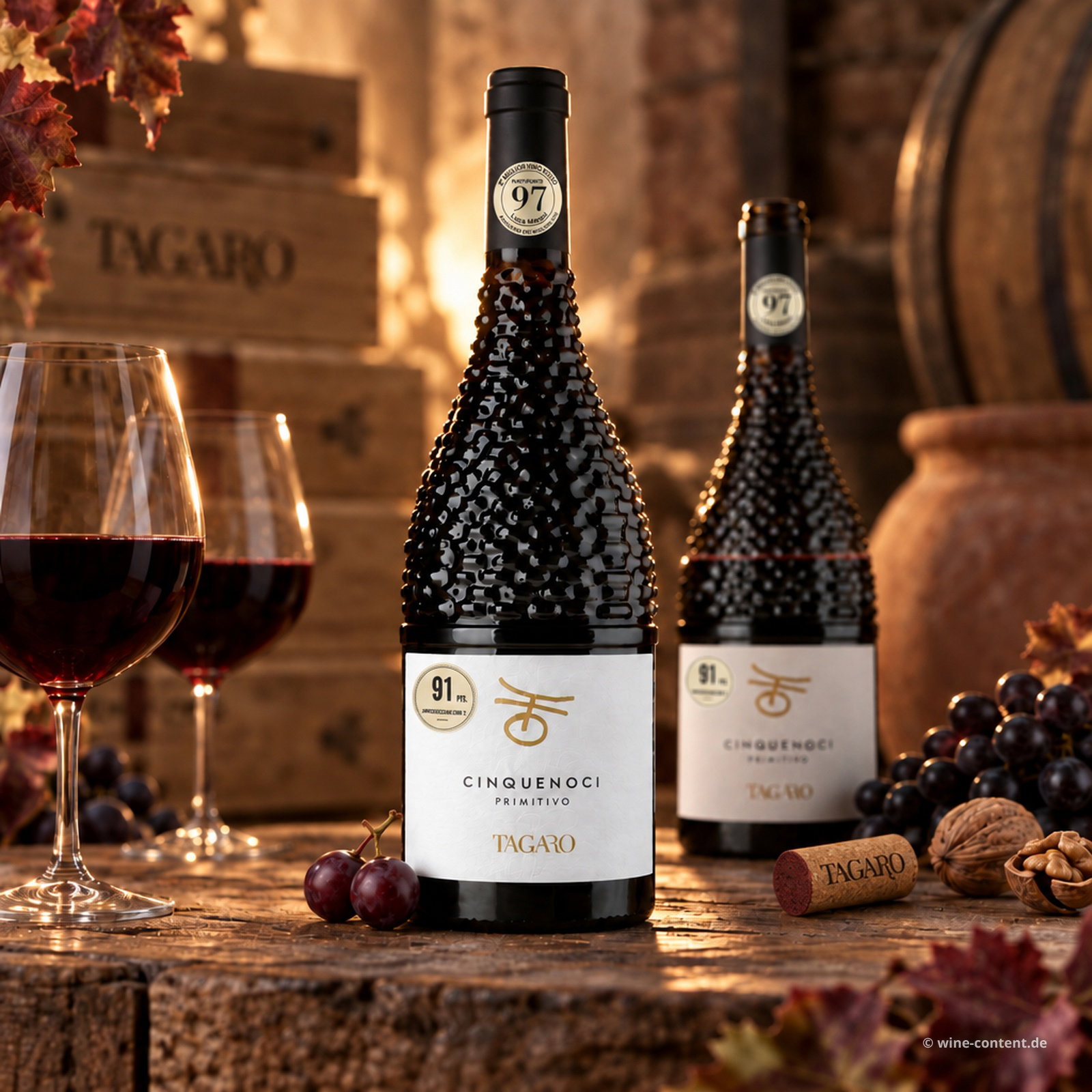 Primitivo 2024 Cinquenoci