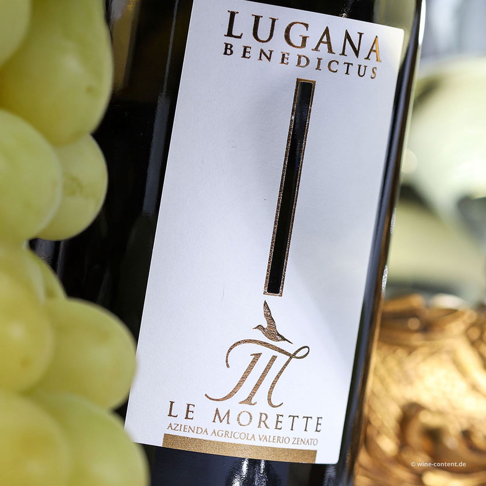 Lugana 2024 Benedictus