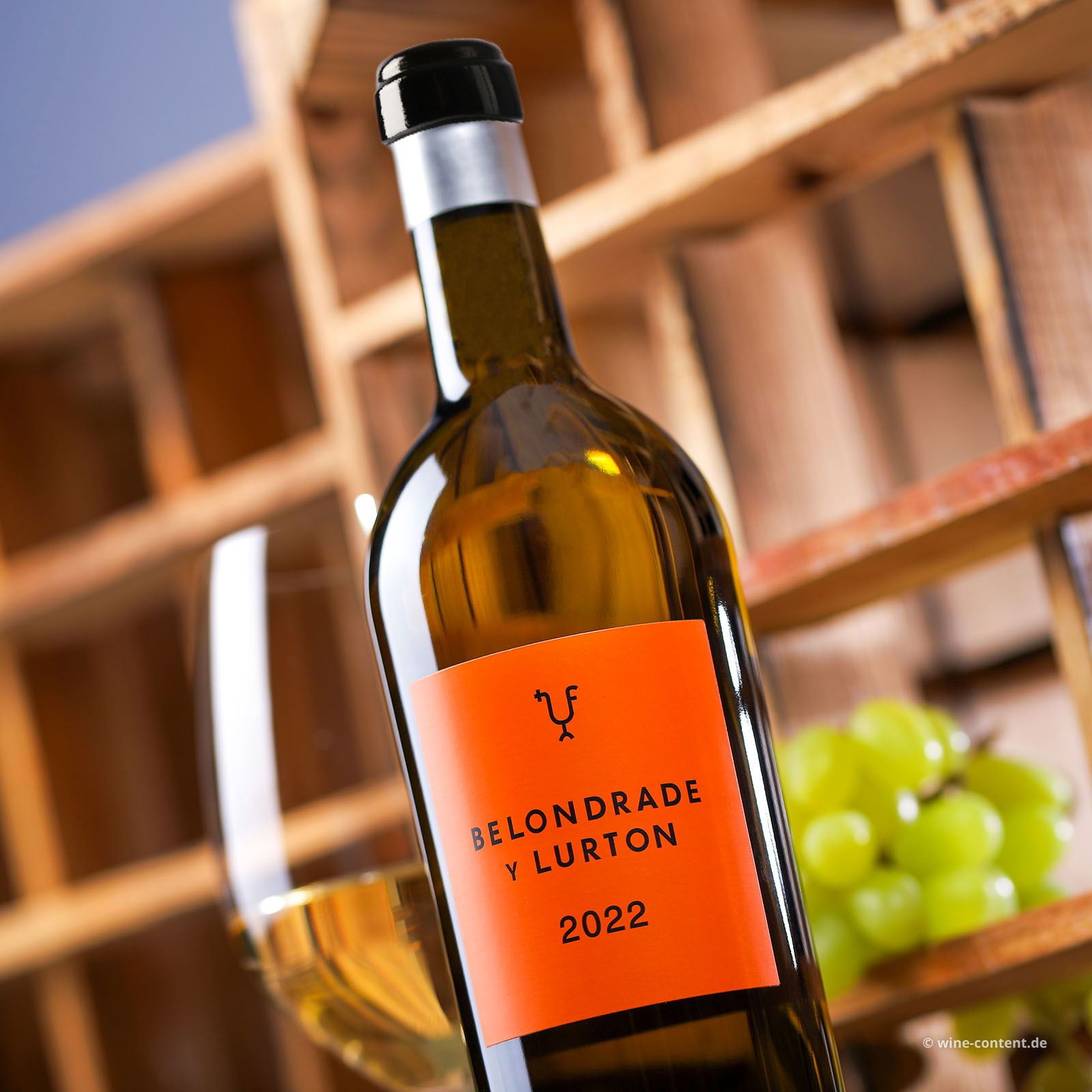 Verdejo 2022 Belondrade y Lurton Bio
