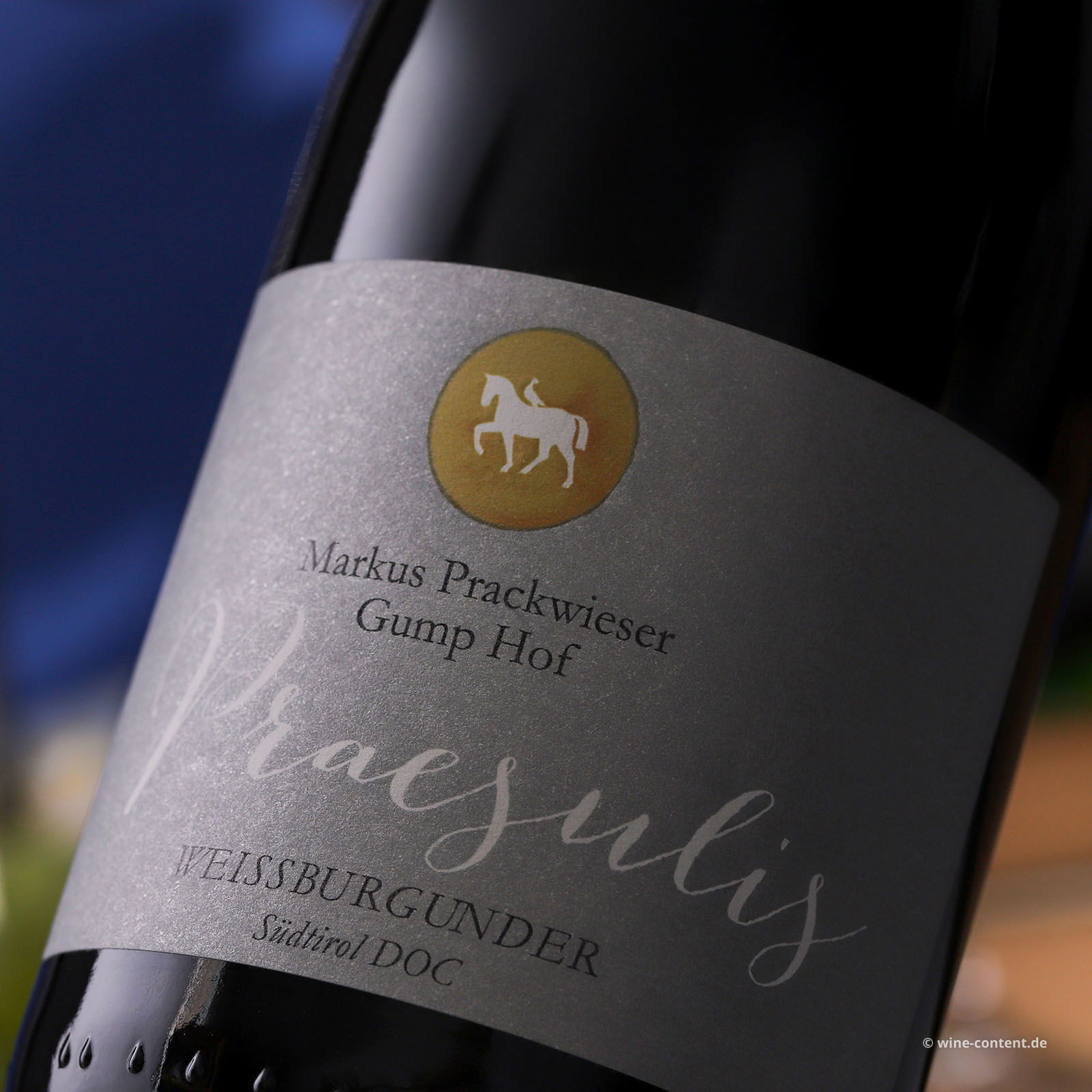 Weißburgunder 2023 Praesulis