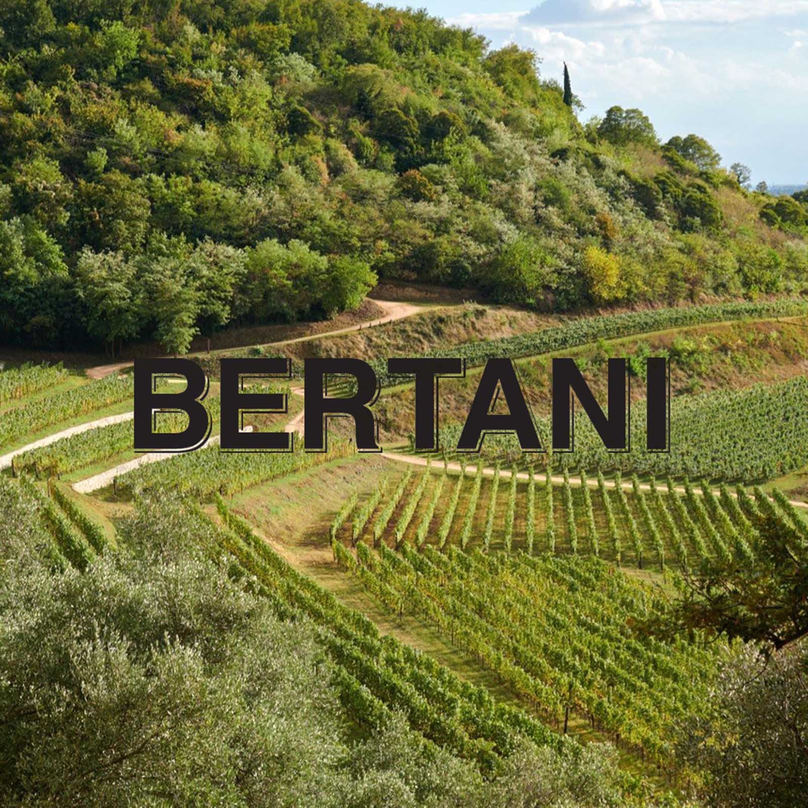 6er-Holzkiste Amarone Classico 2015