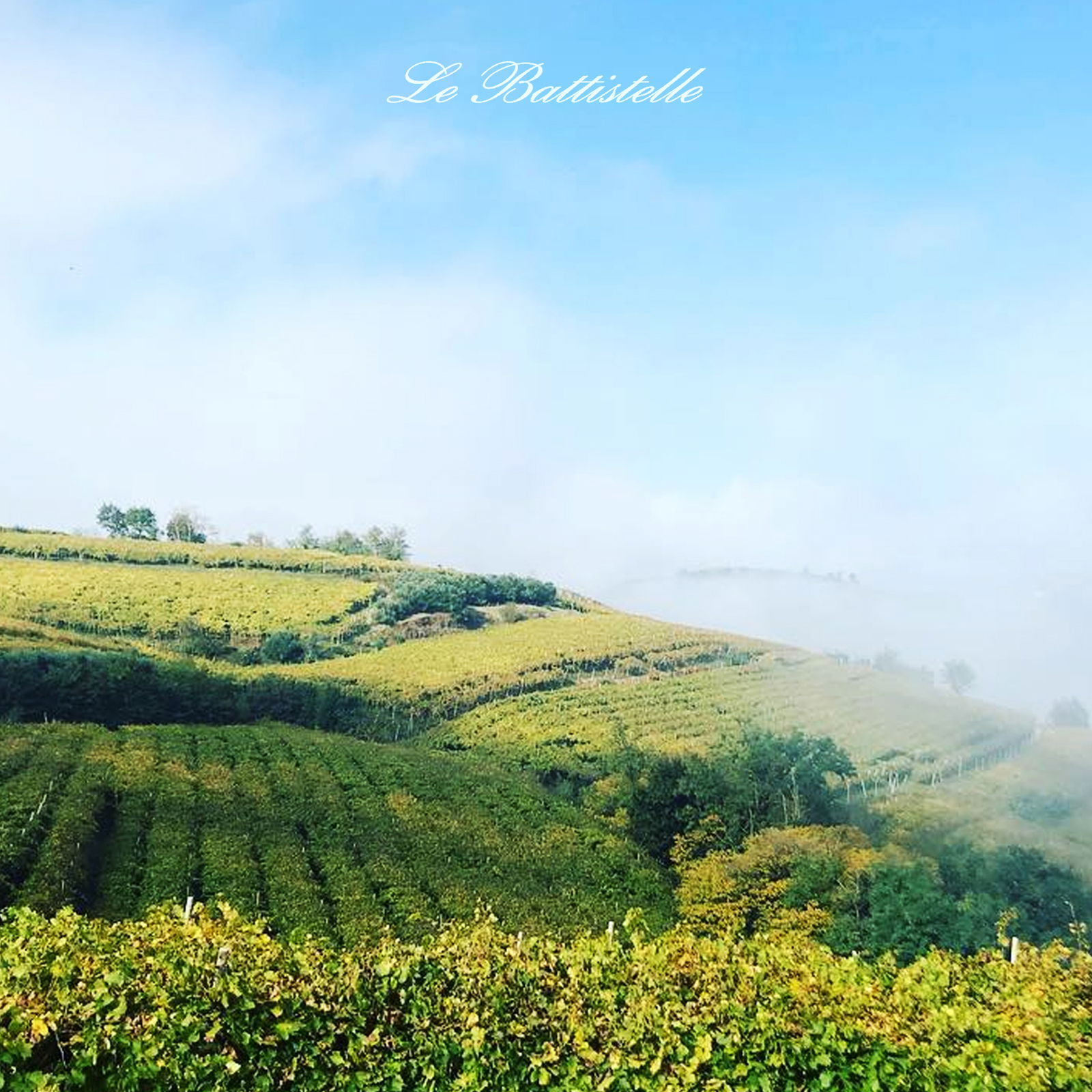 Soave Classico 2023 Roccolo del Durlo