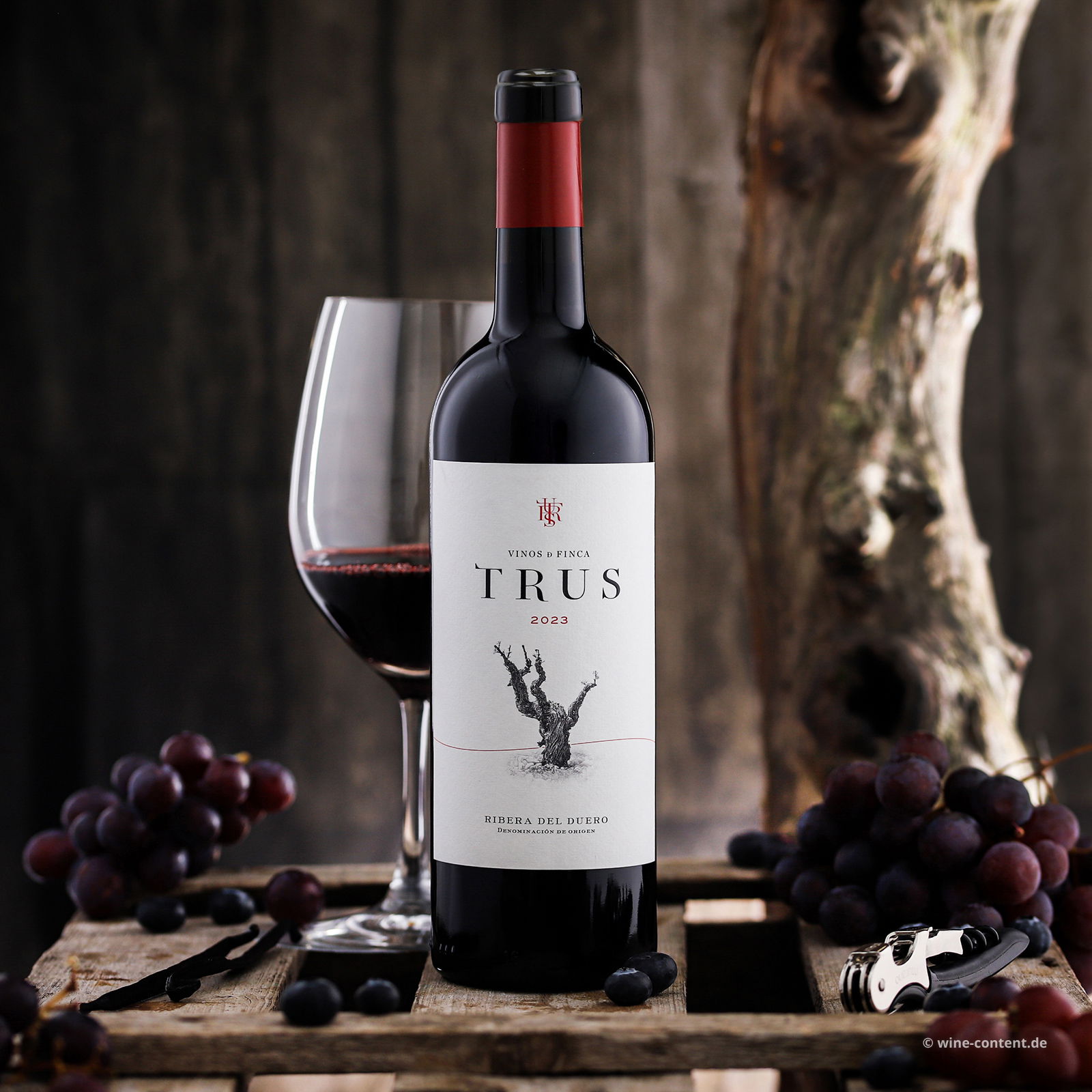 Tempranillo 2023 Roble