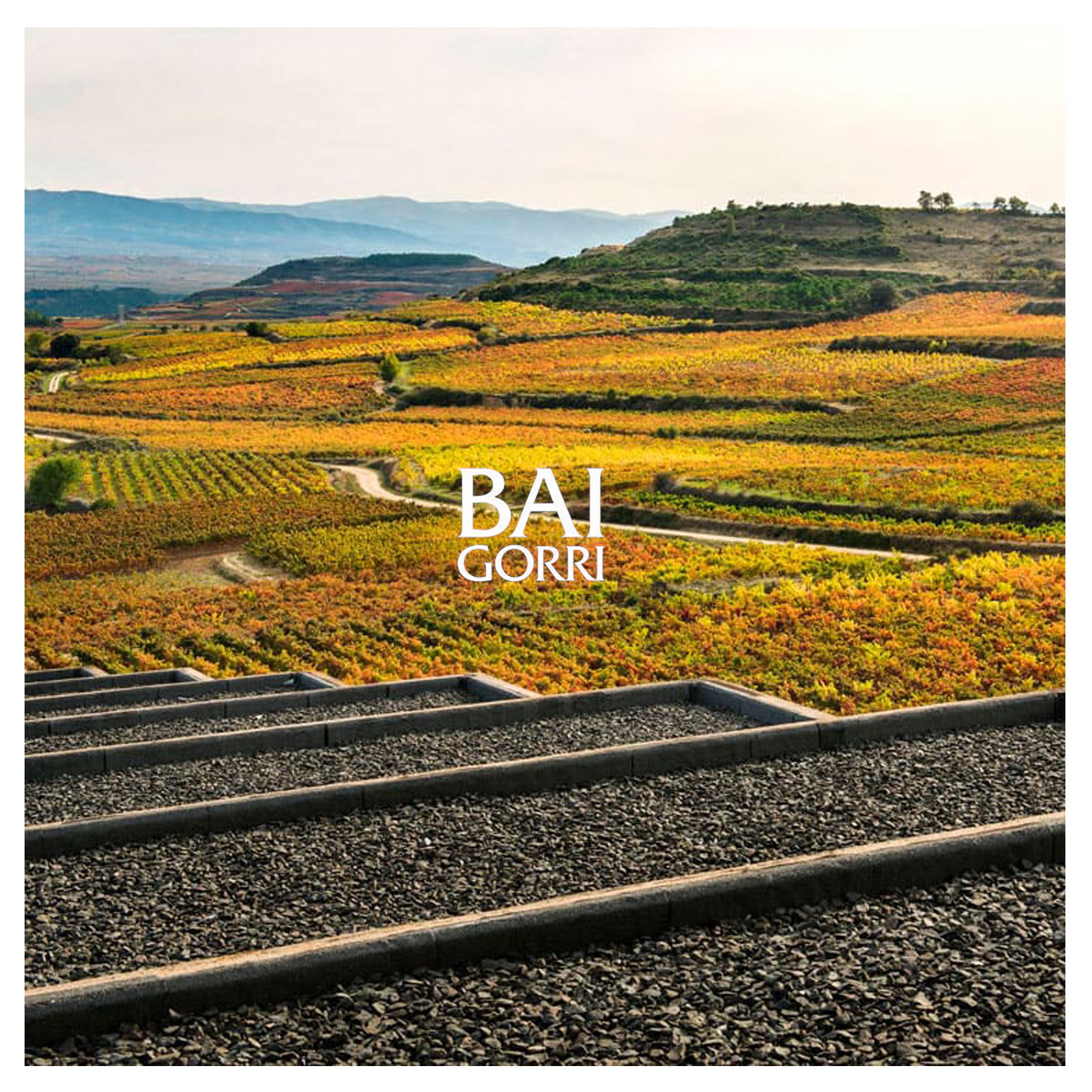 Rioja Crianza 2022 Mendi
