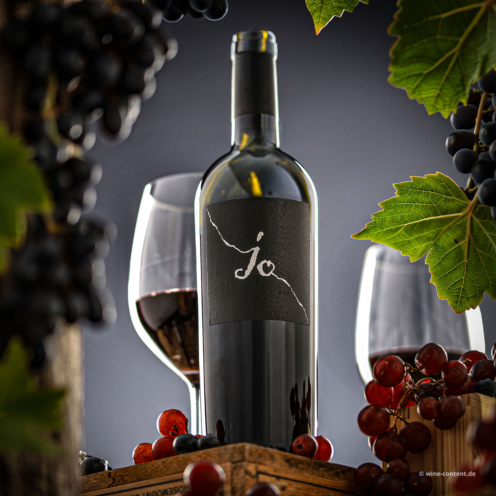 Negroamaro Salento 2023 jo