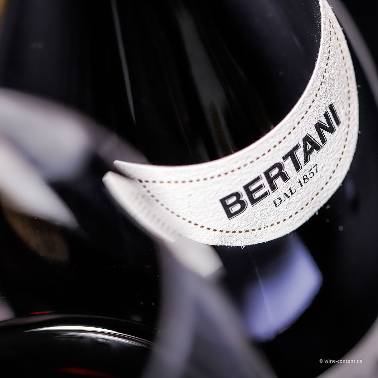 Valpolicella Classico Superiore 2021 Cru Ognisanti