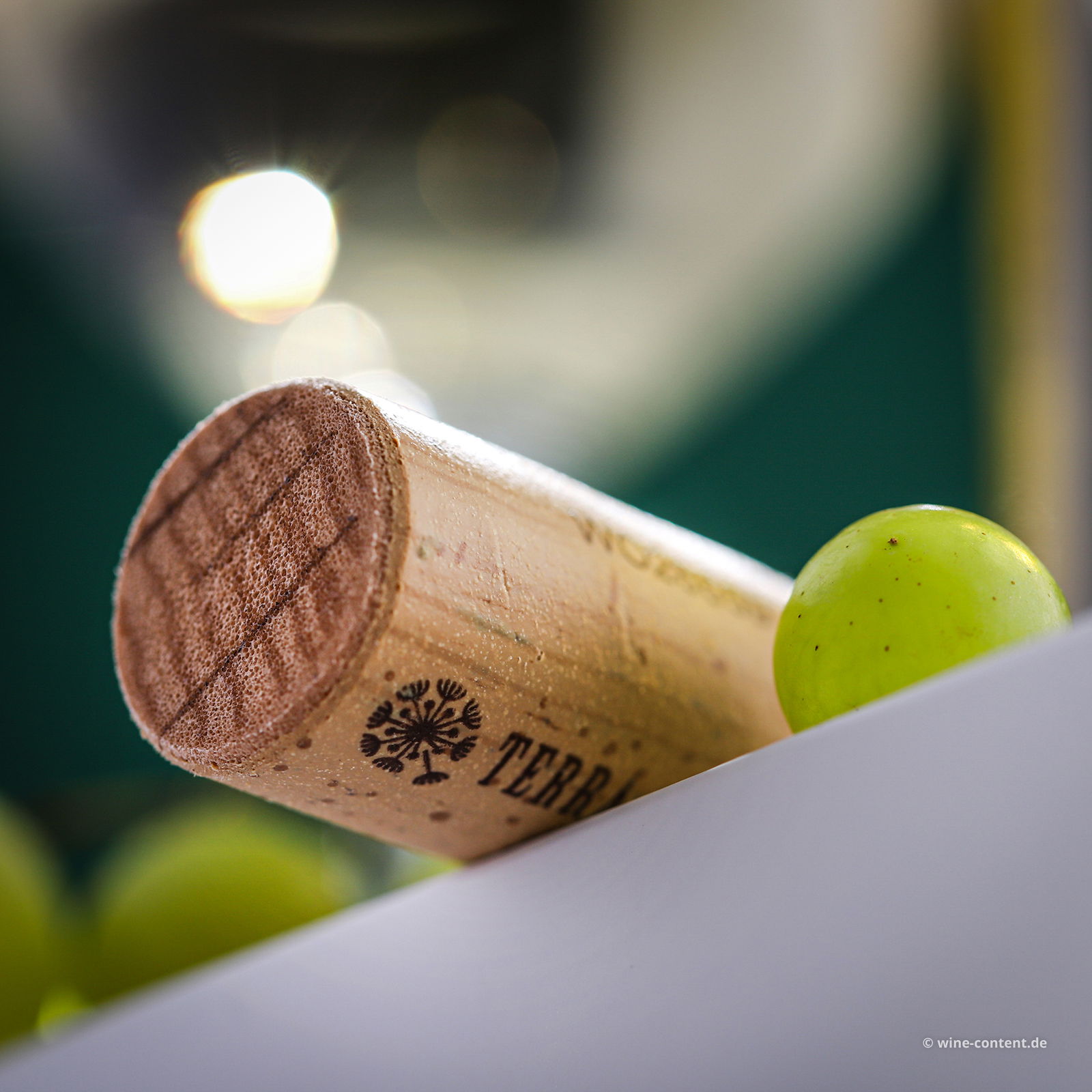 Fiano Terra d'Otranto 2023 Ora