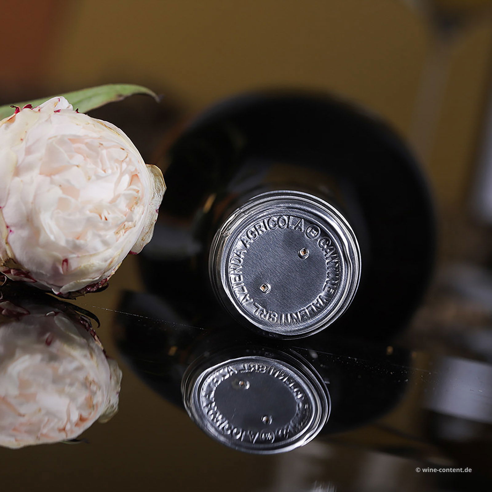 Etna Bianco 2022 Enrico IV Bio