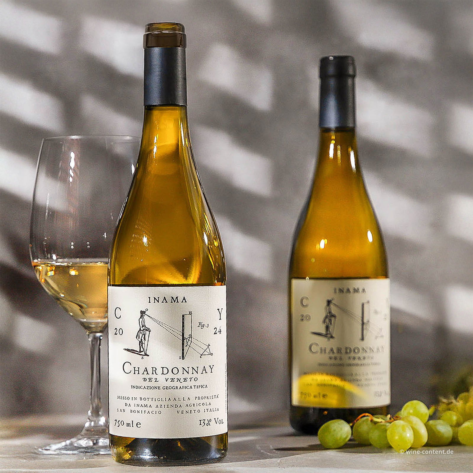 Chardonnay del Veneto 2024