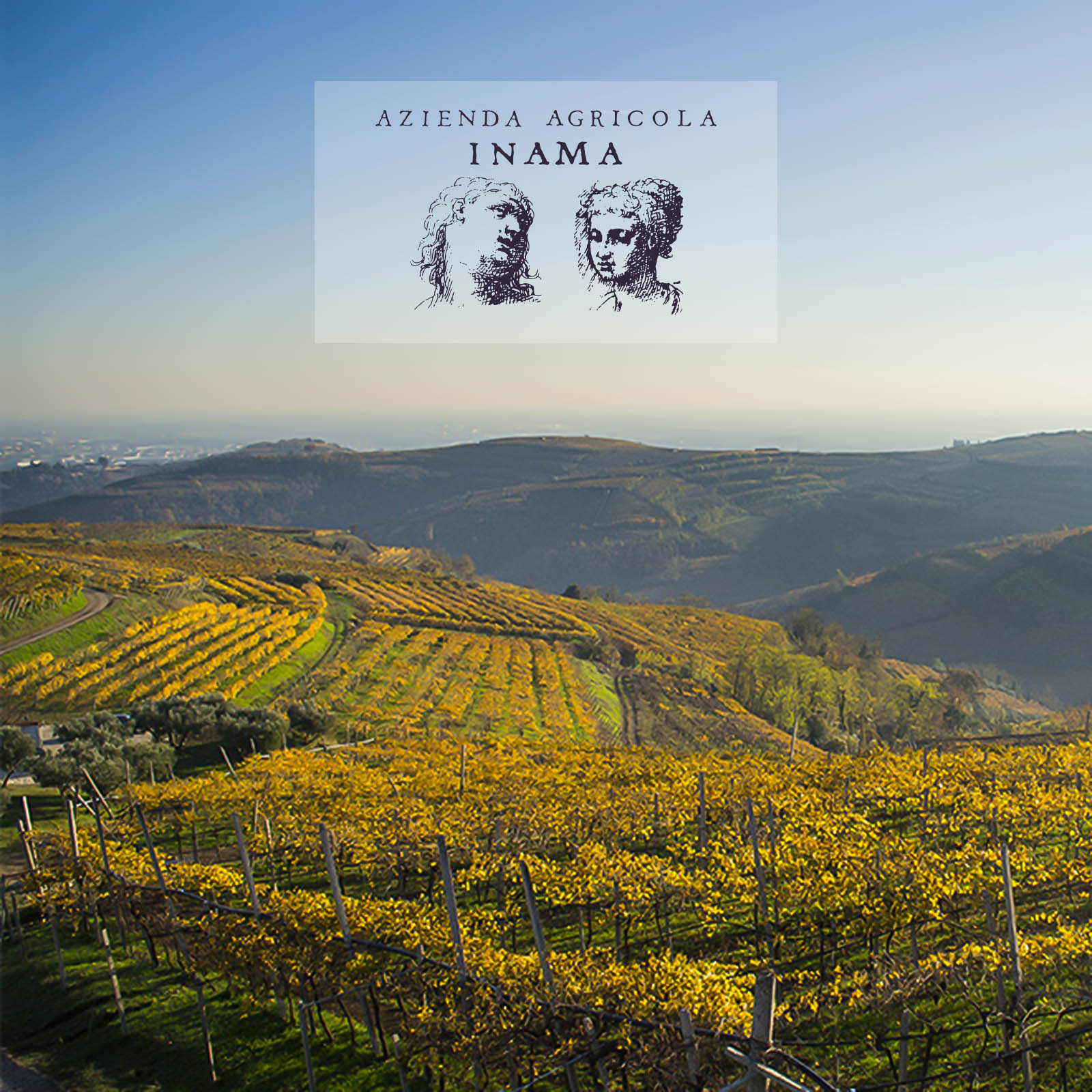 Cabernet 2021 Bradisismo