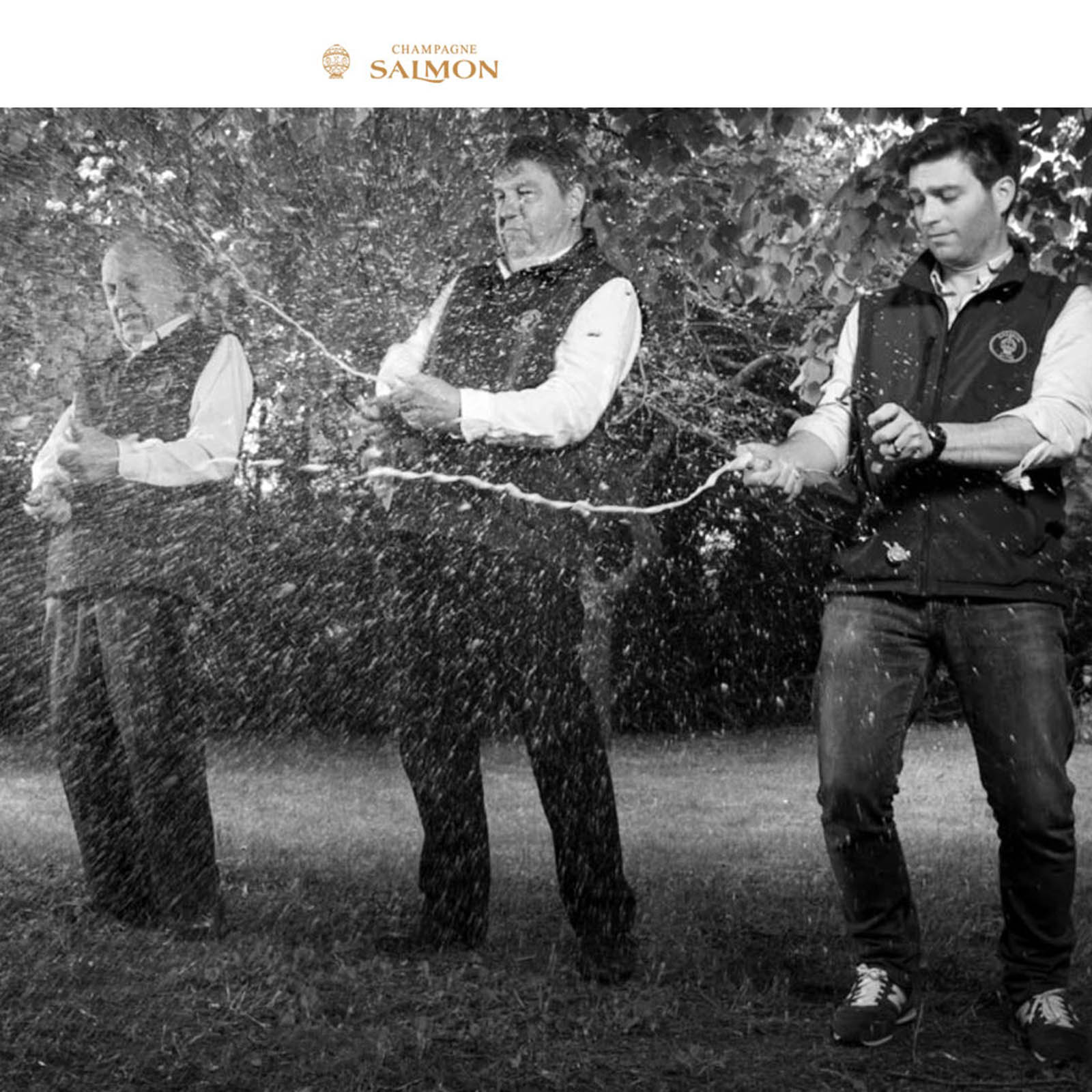 Champagner 100% Meunier Blanc Brut