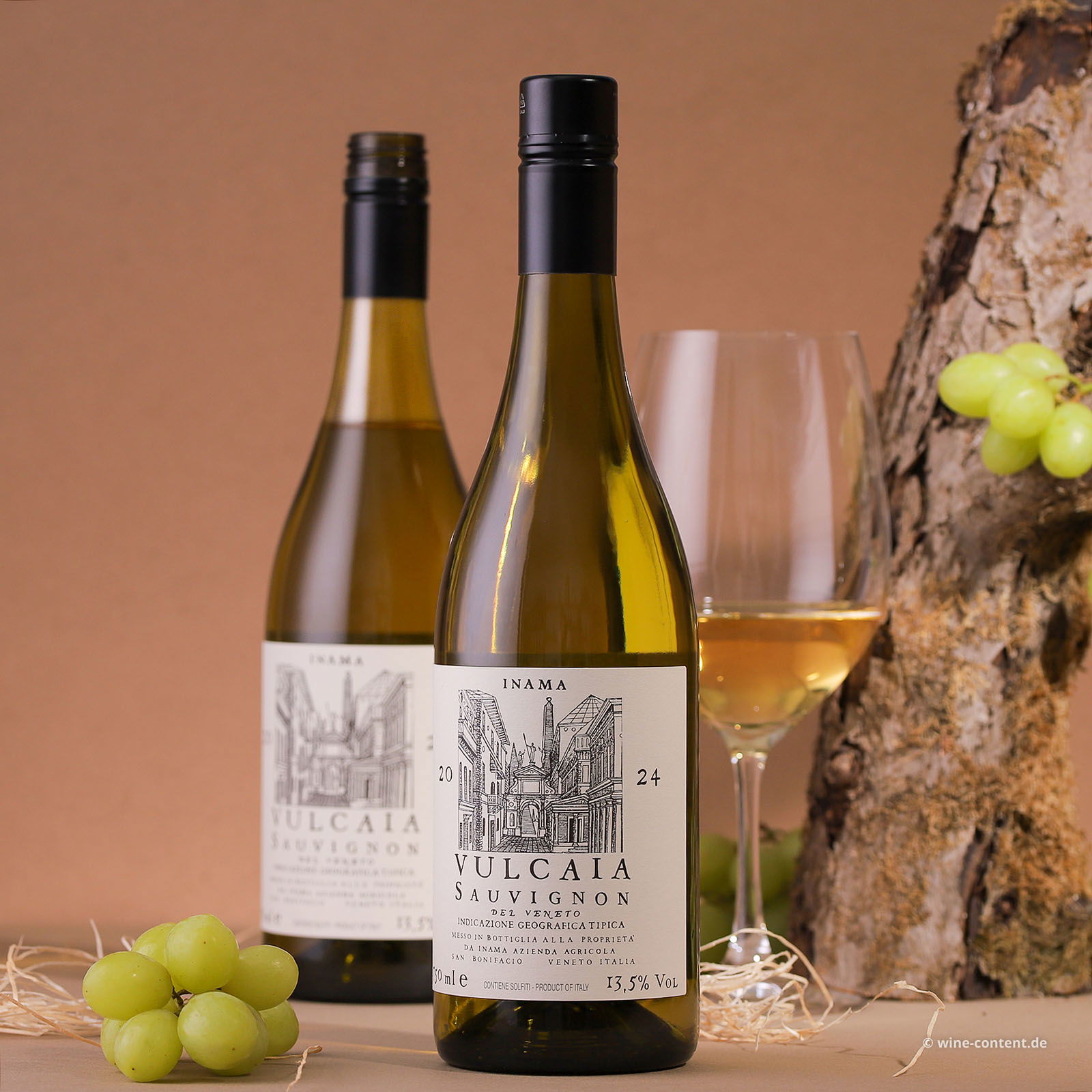 Sauvignon del Veneto 2024 Vulcaia