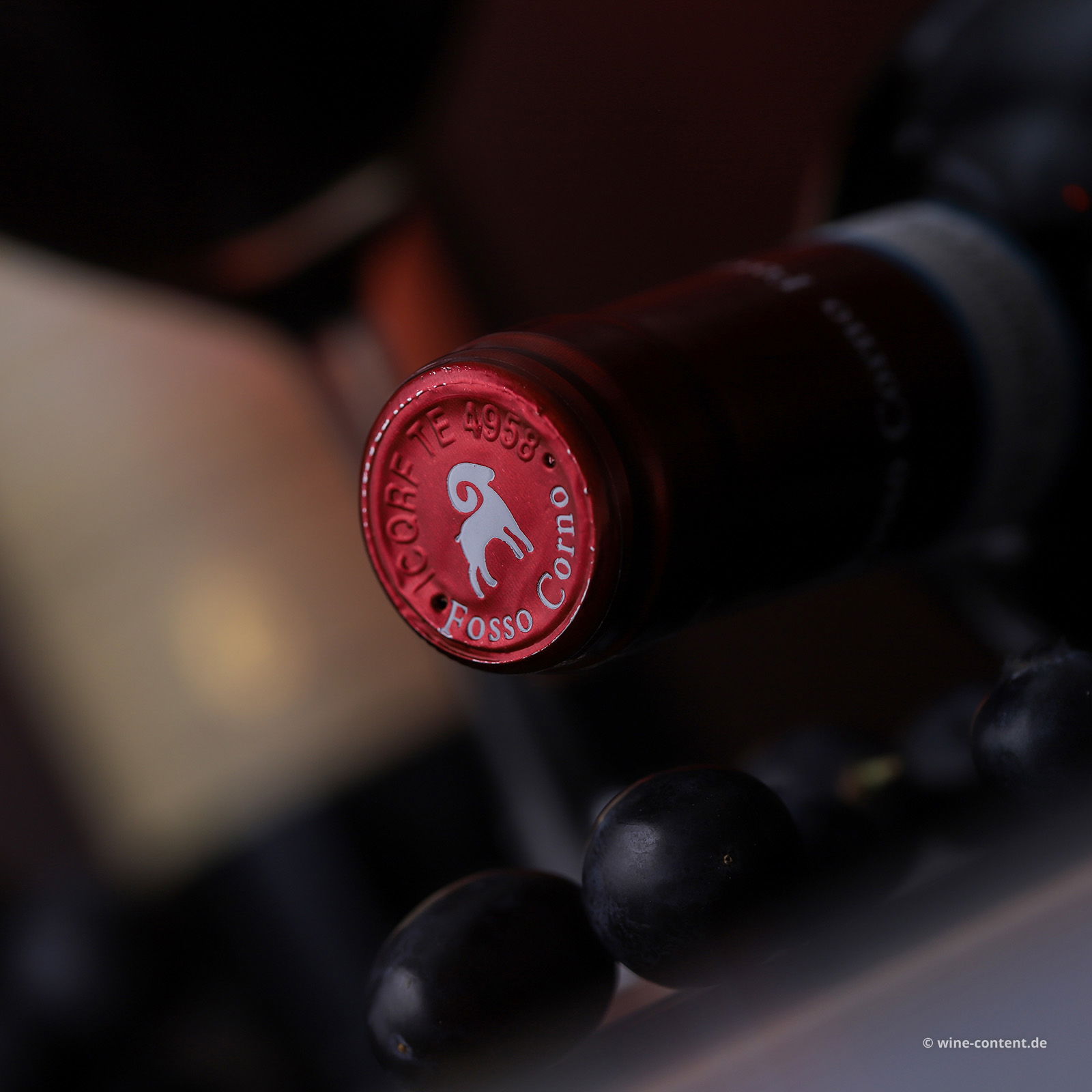 Montepulciano d'Abruzzo 2022 Il Grande Silenzio