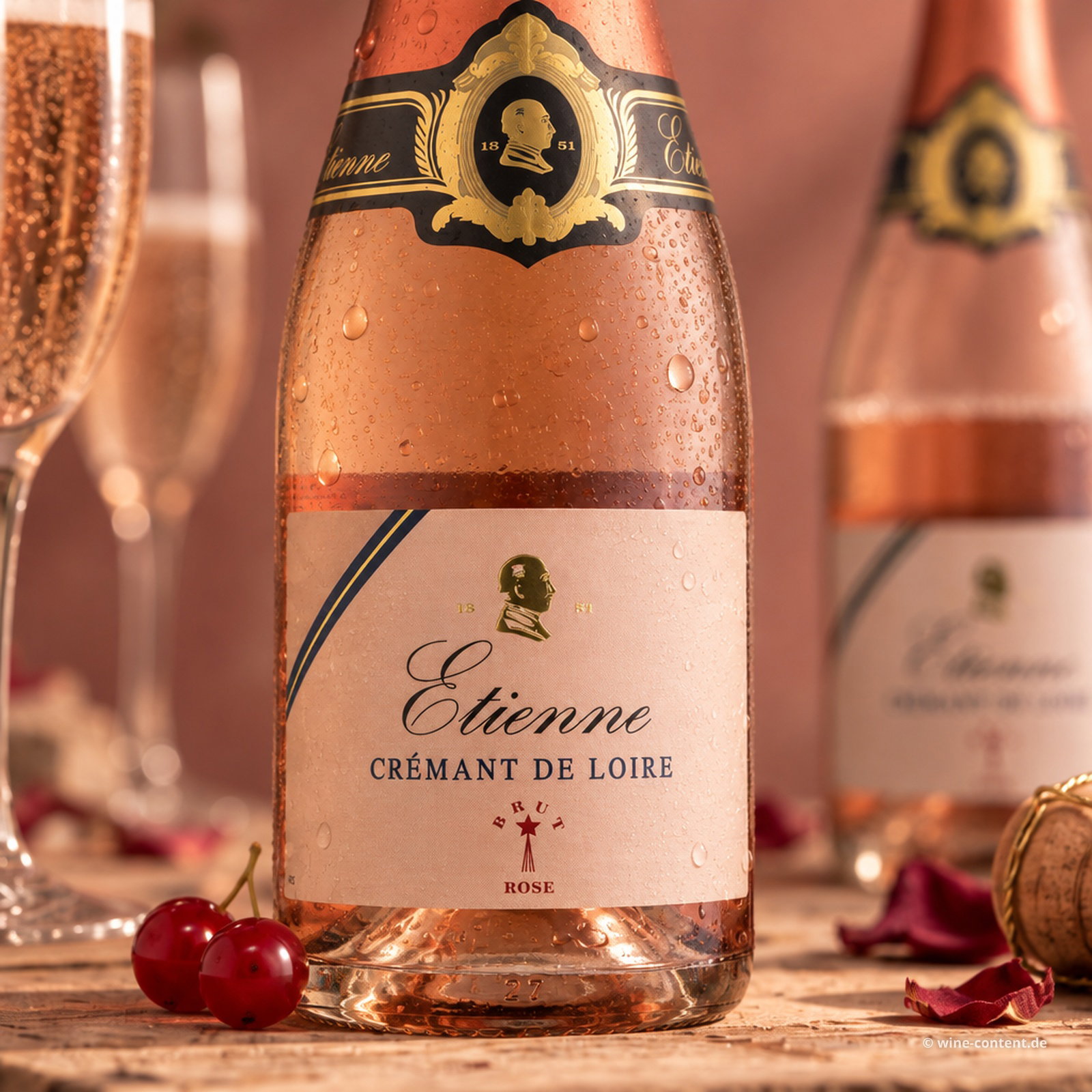 Crémant de Loire Rosé Etienne Brut