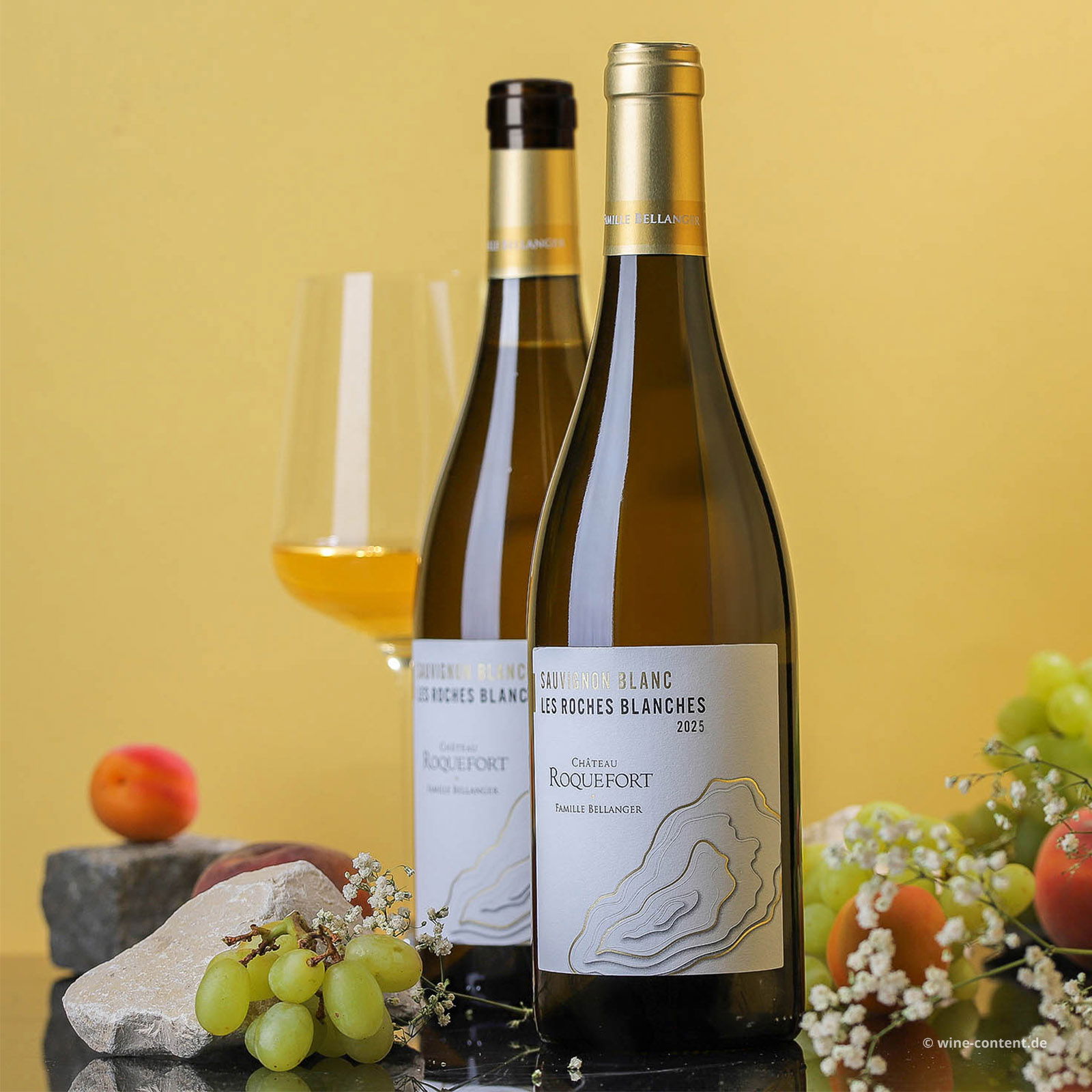 Sauvignon Blanc 2025 Les Roches Blanches Bio