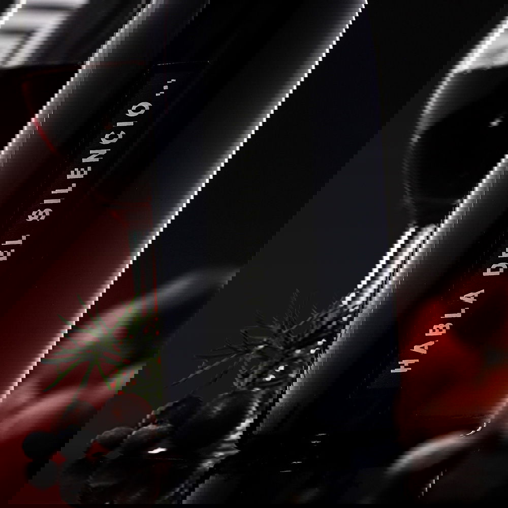 Habla del Silencio 2022